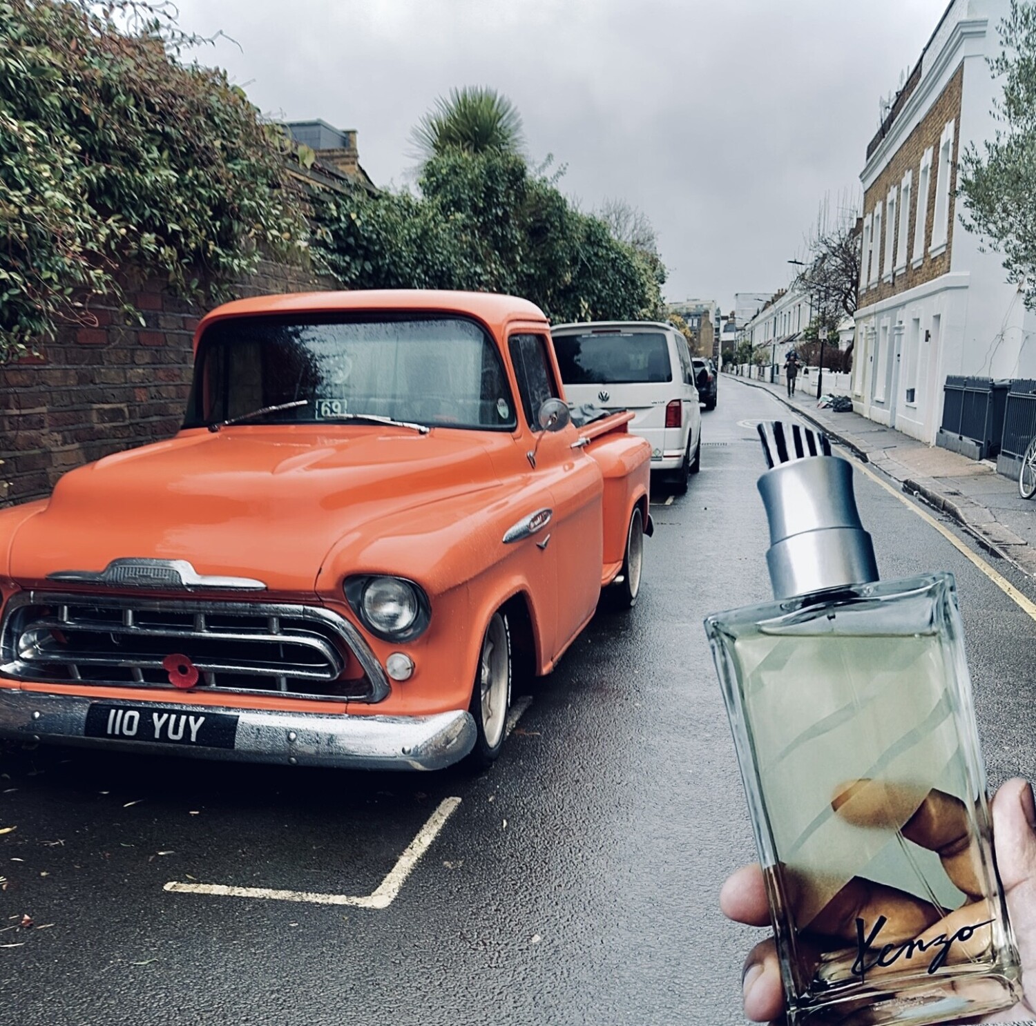 کنزو جانگل هوم — تصویر 3