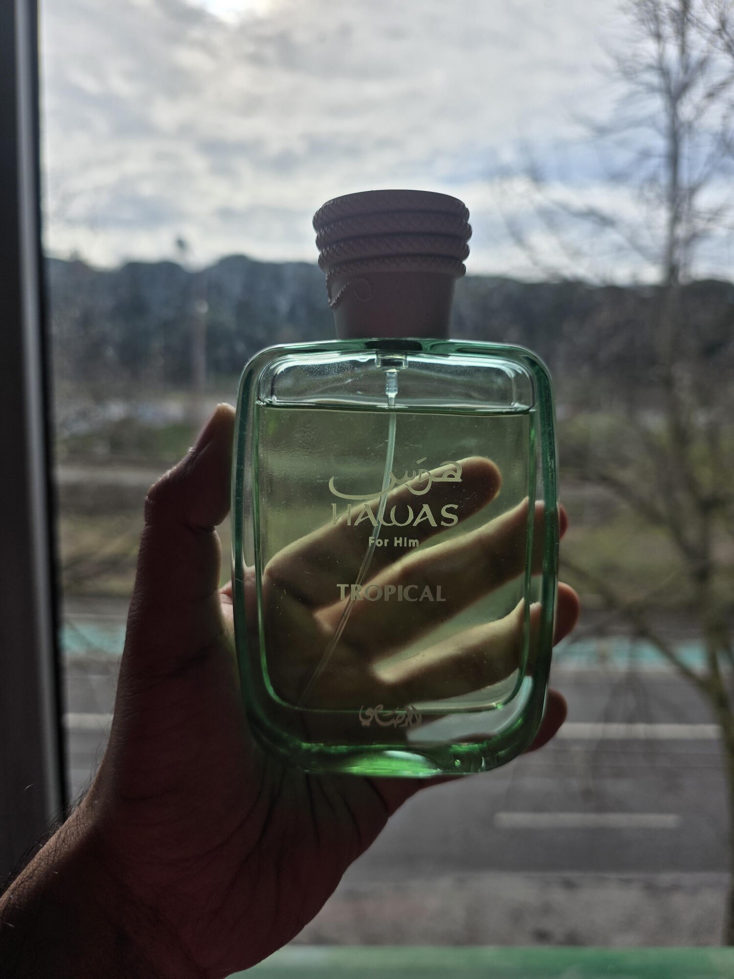 هوس تروپیکال — تصویر 2