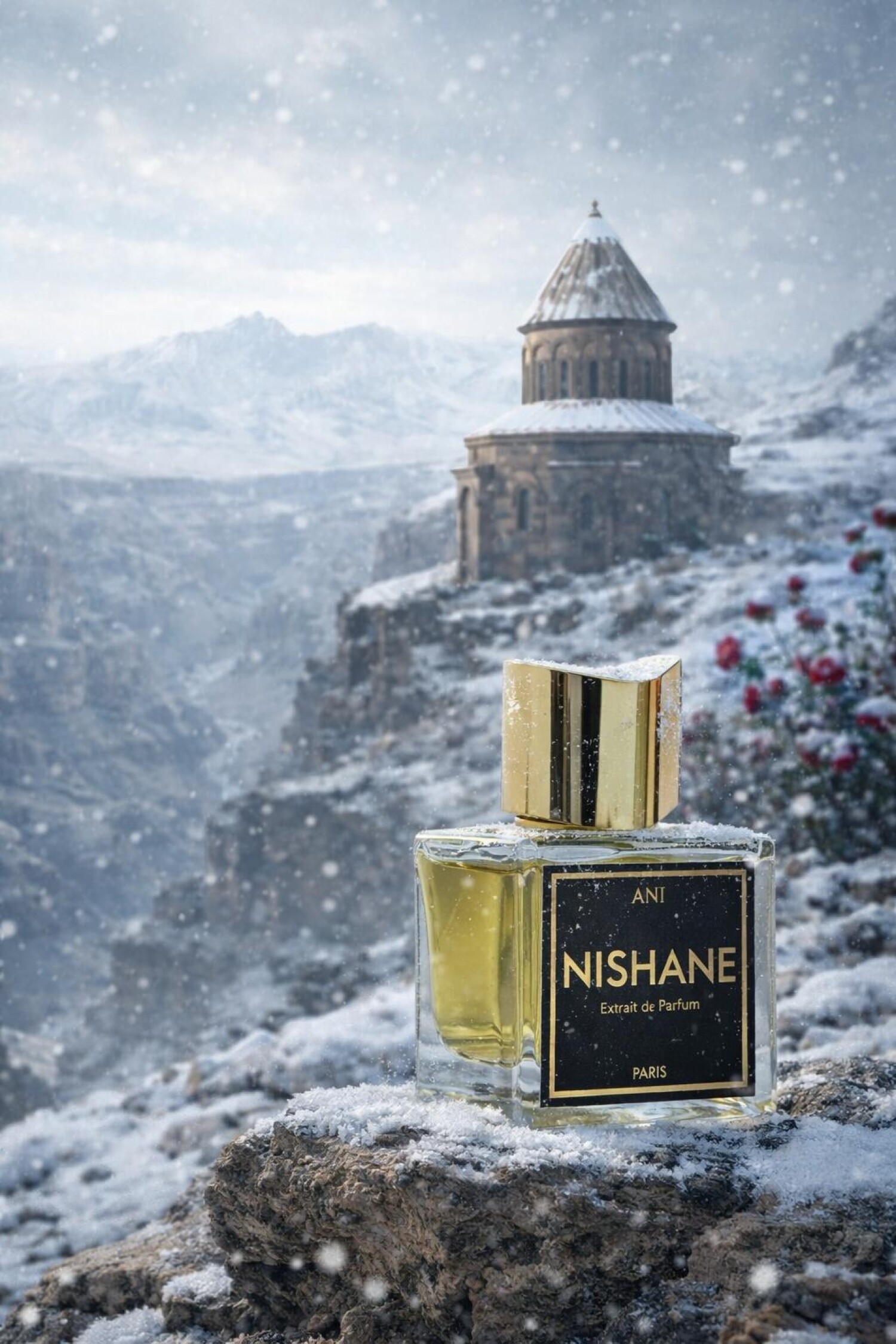 آنی — تصویر 3