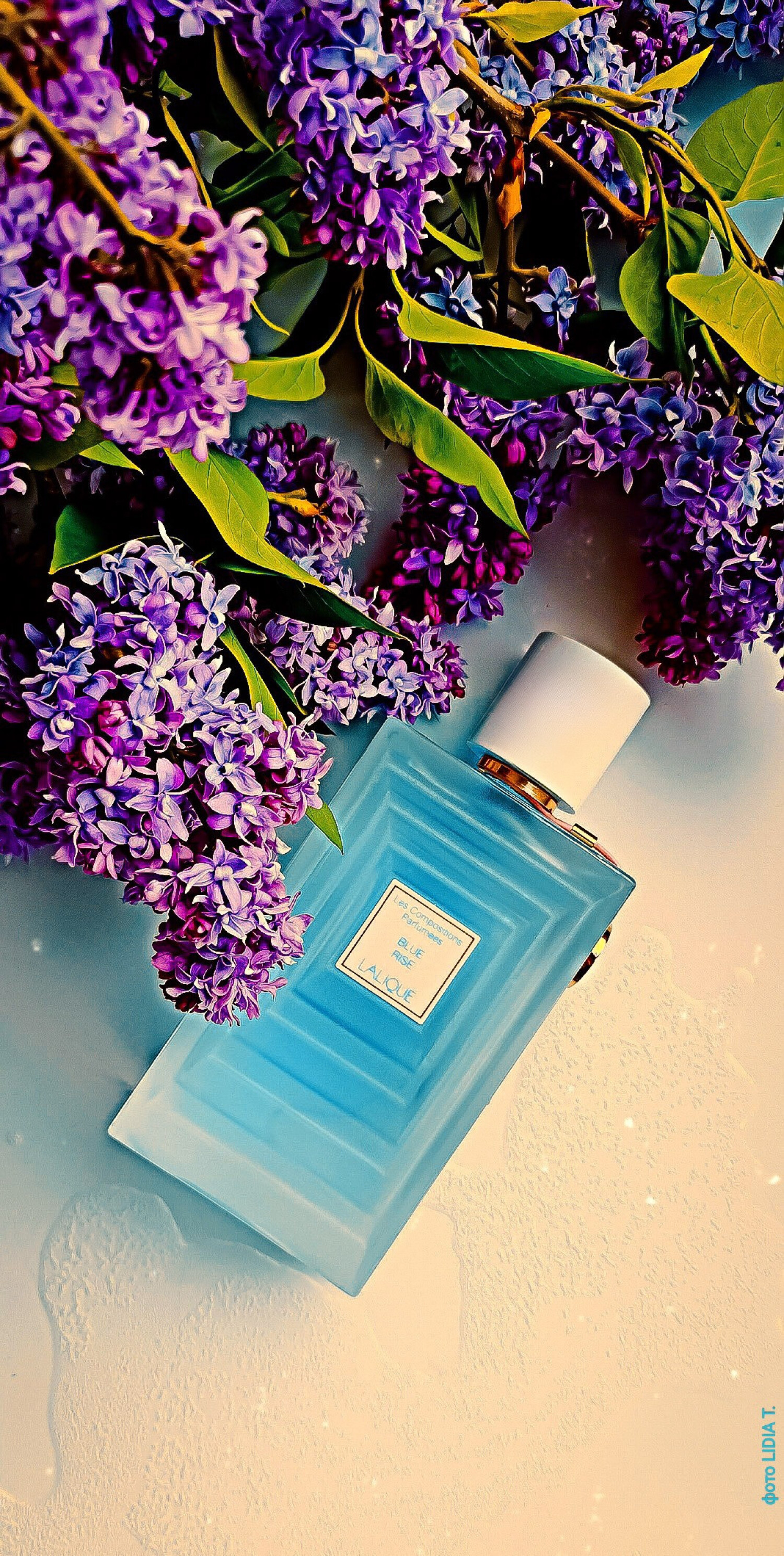 بلو رایز