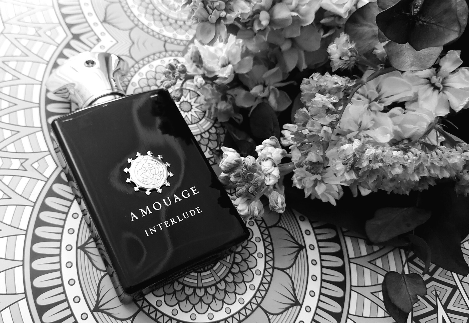 اینترلود من — تصویر 3