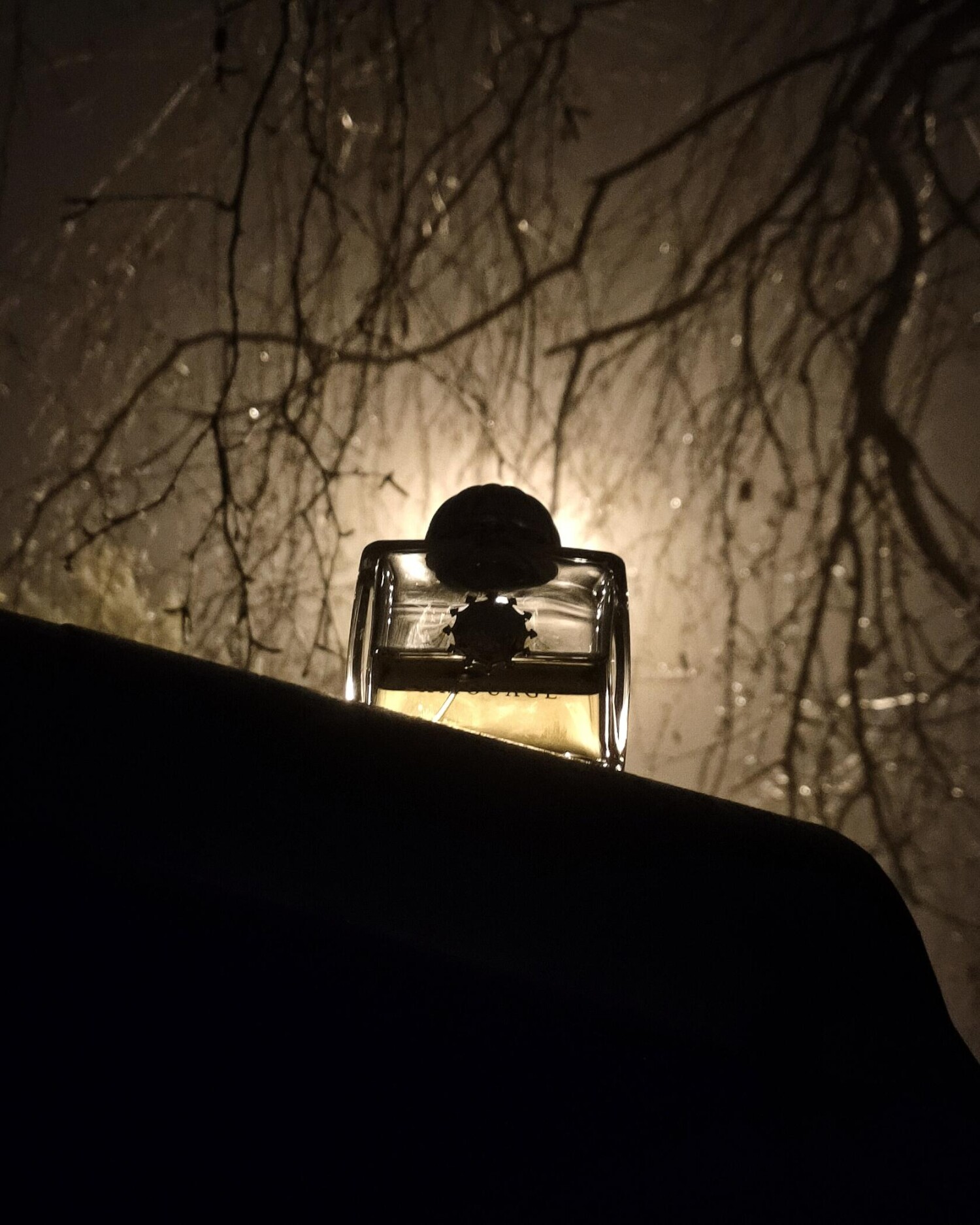 دیا وومن — تصویر 3