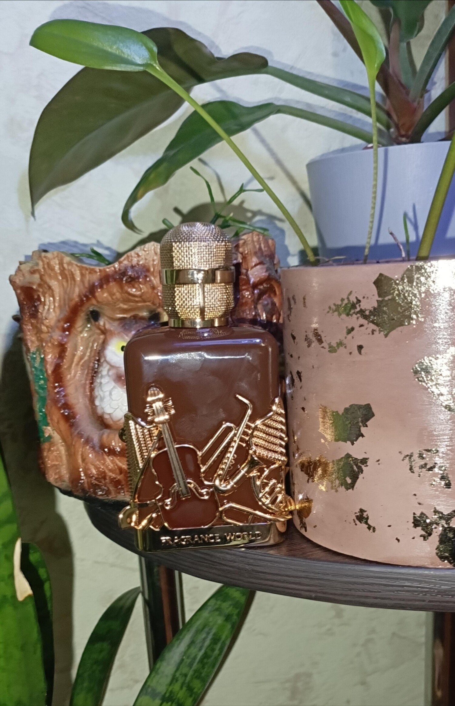نتس کلاسیکس