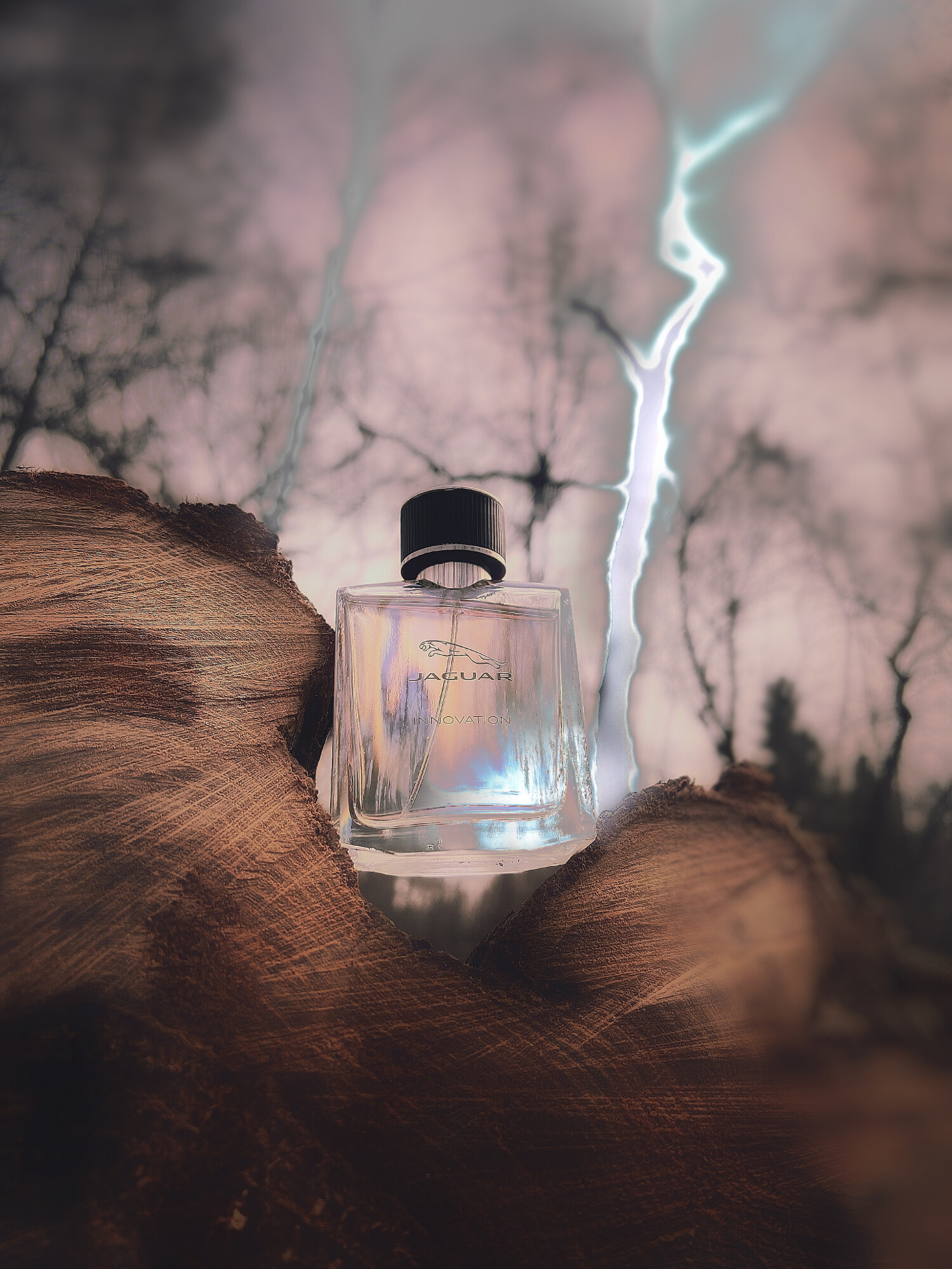 جگوار اینوویشن — تصویر 3