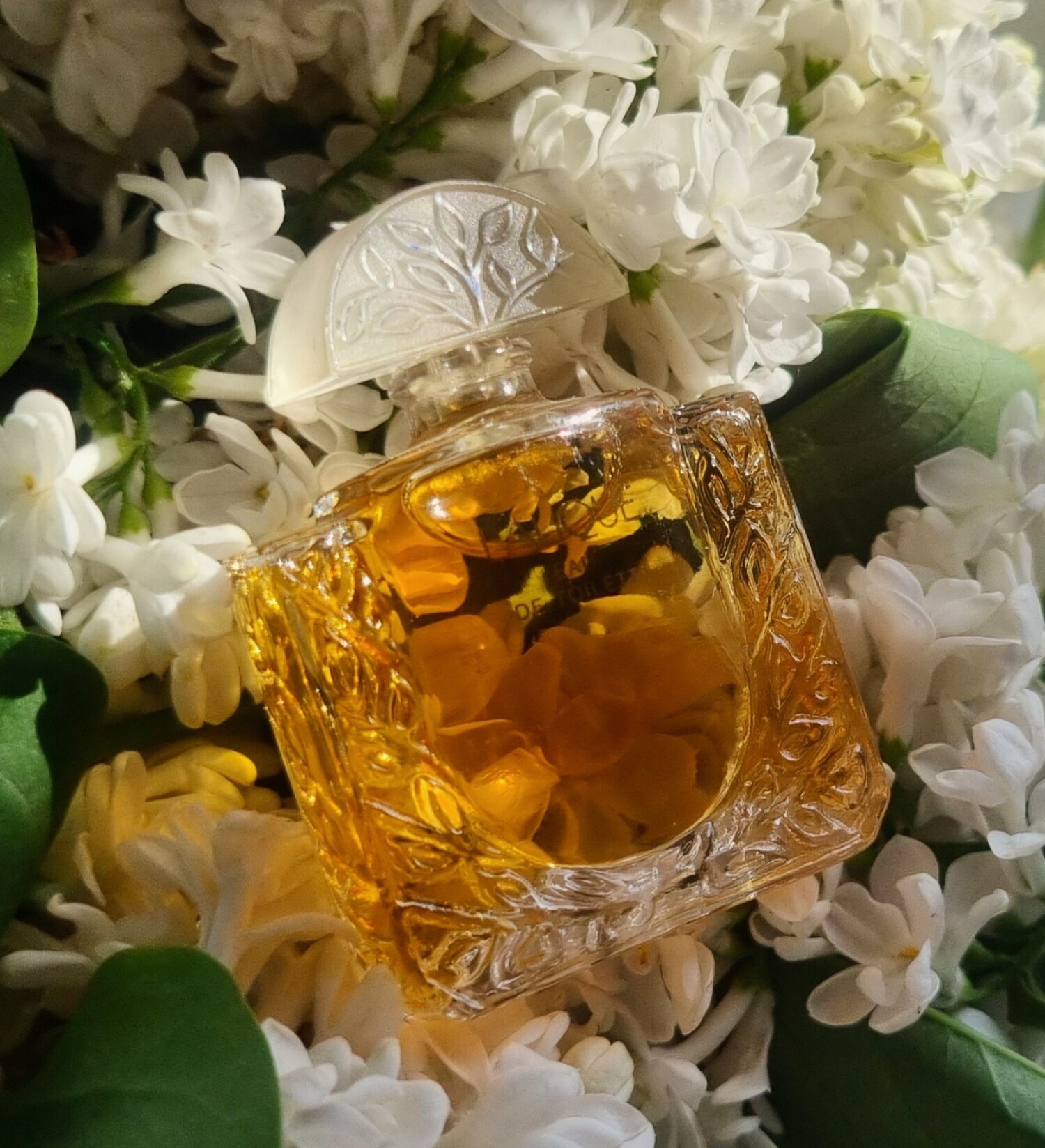 لالیک د لالیک بیستمین سالگرد چورفوی اکستریت د پرفیوم — تصویر 2