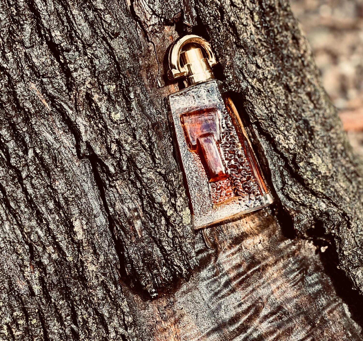 پای — تصویر 2
