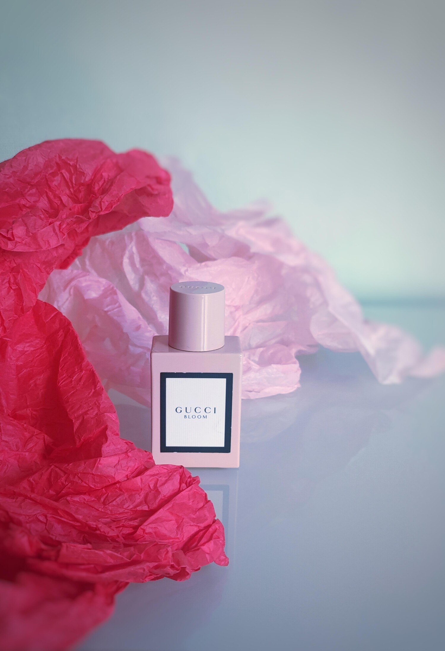 گوچی بلوم