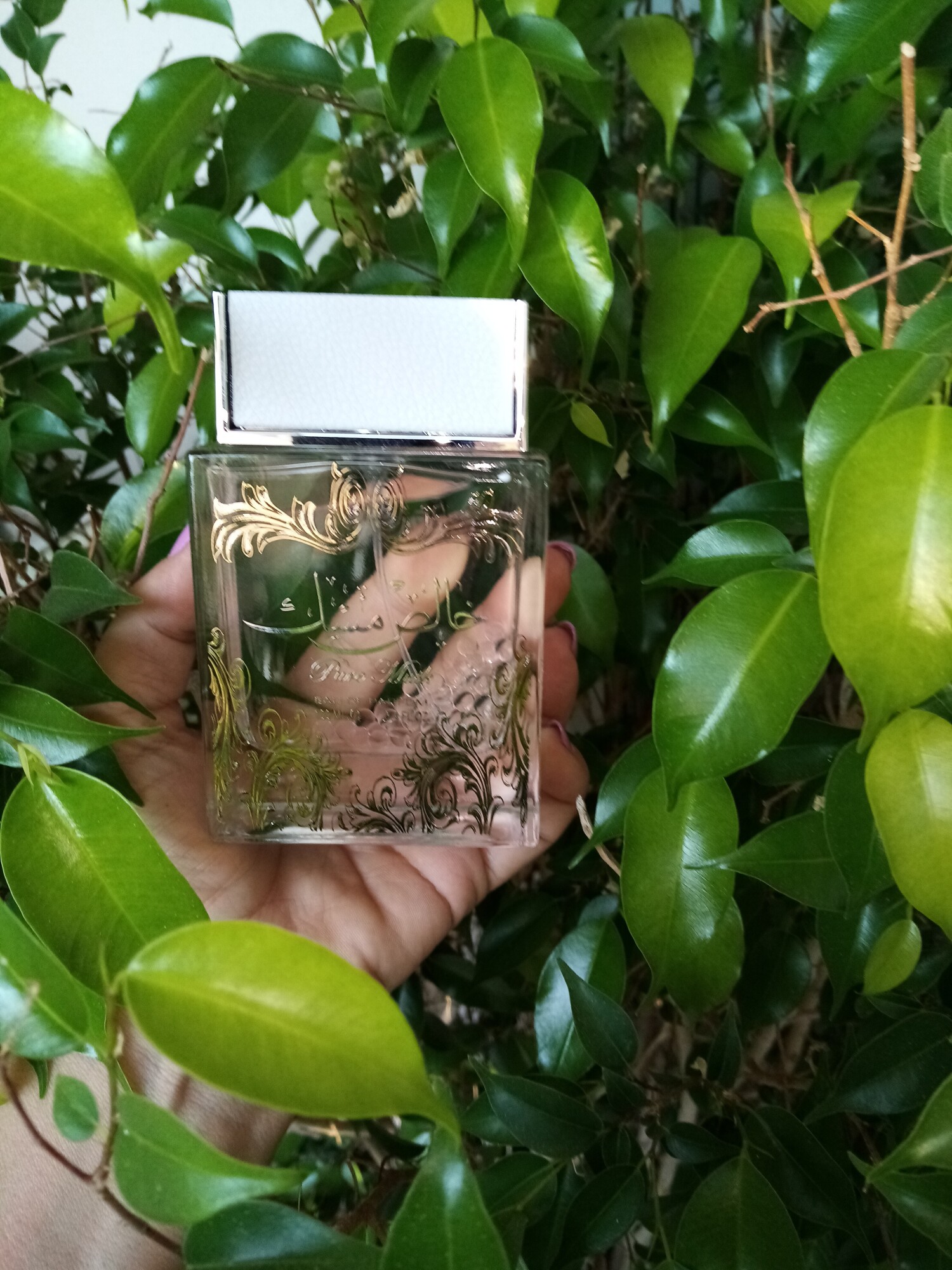 خالص ماسک (پیور ماسک) — تصویر 3