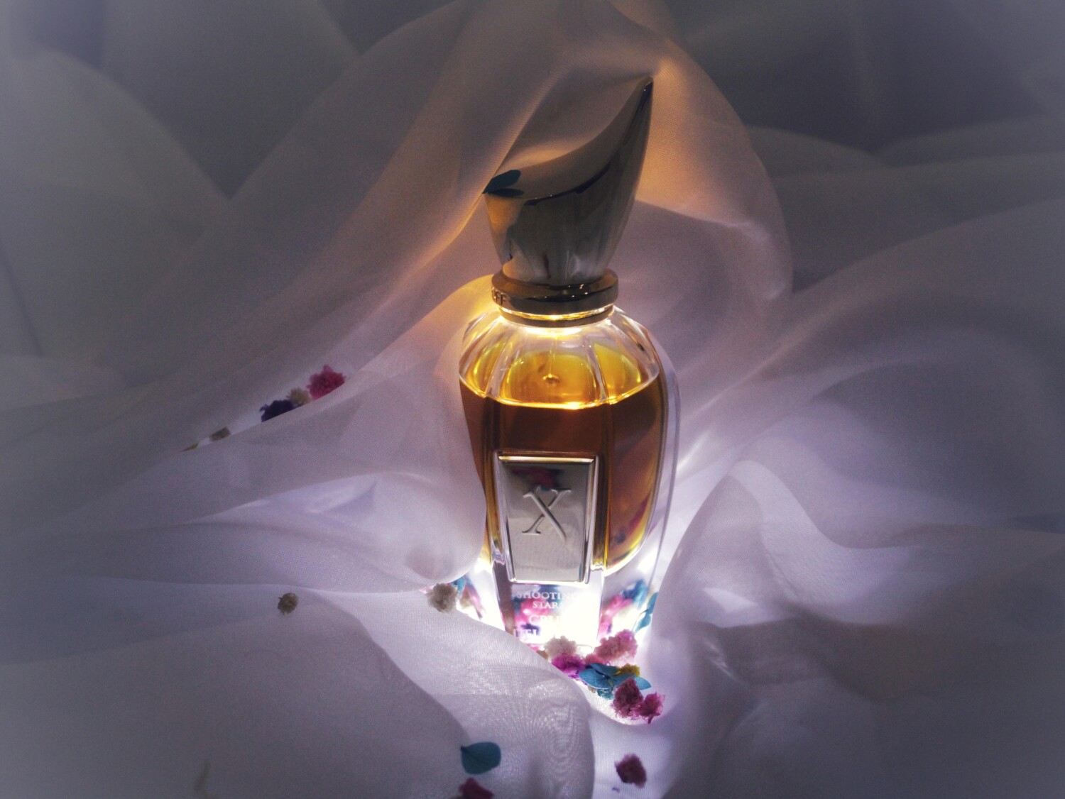 کروز دل سور ۲ — تصویر 2