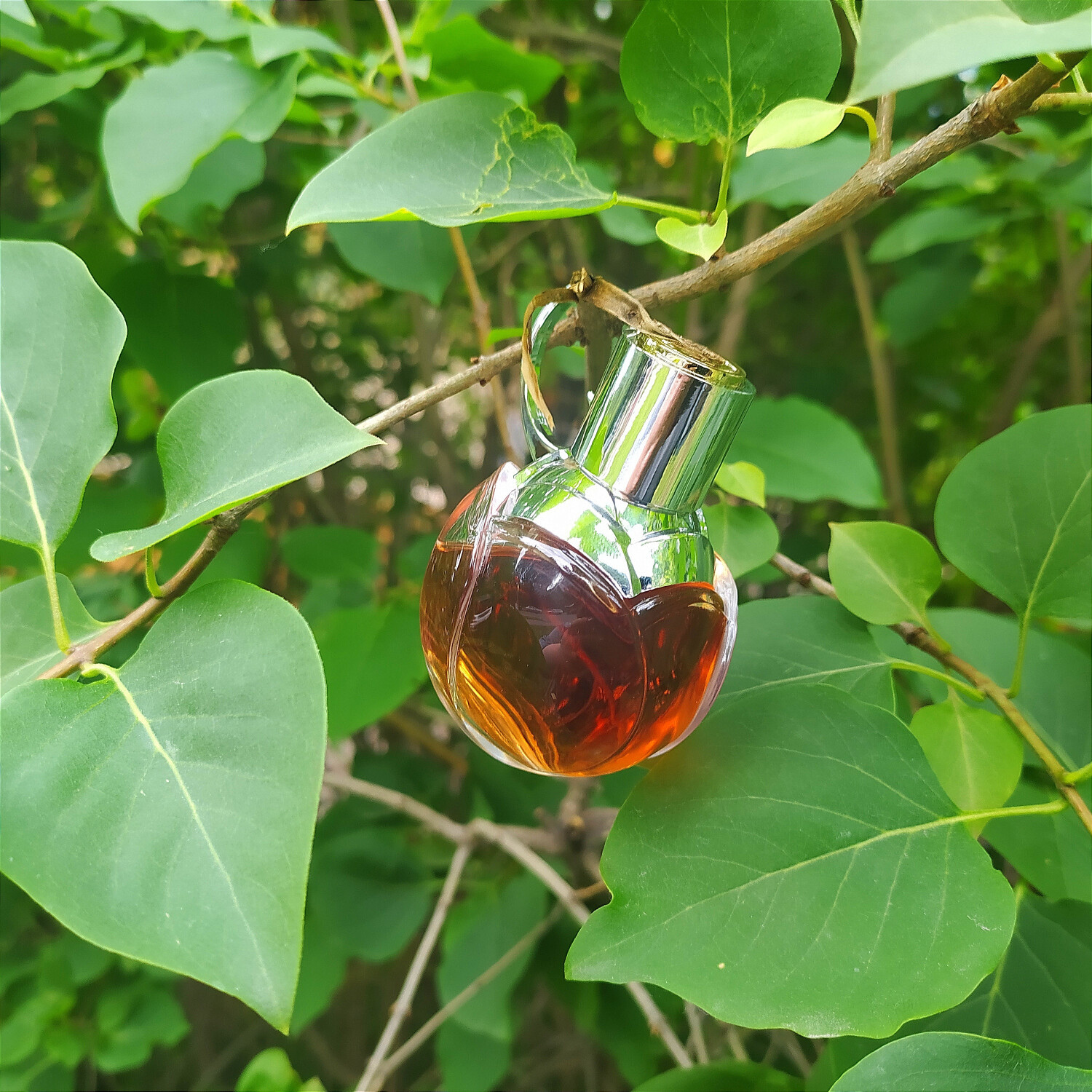 وانتد گرل — تصویر 3
