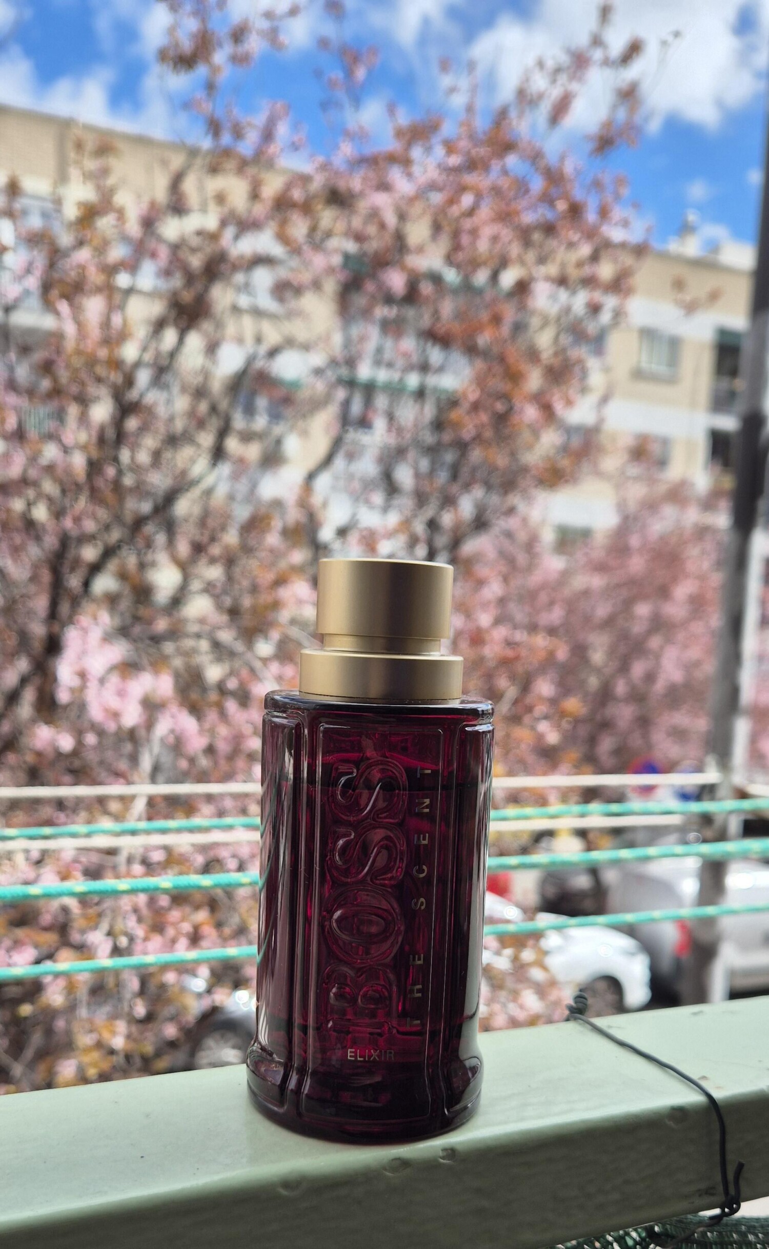 باس د سنت الیکسیر فور هیم — تصویر 2