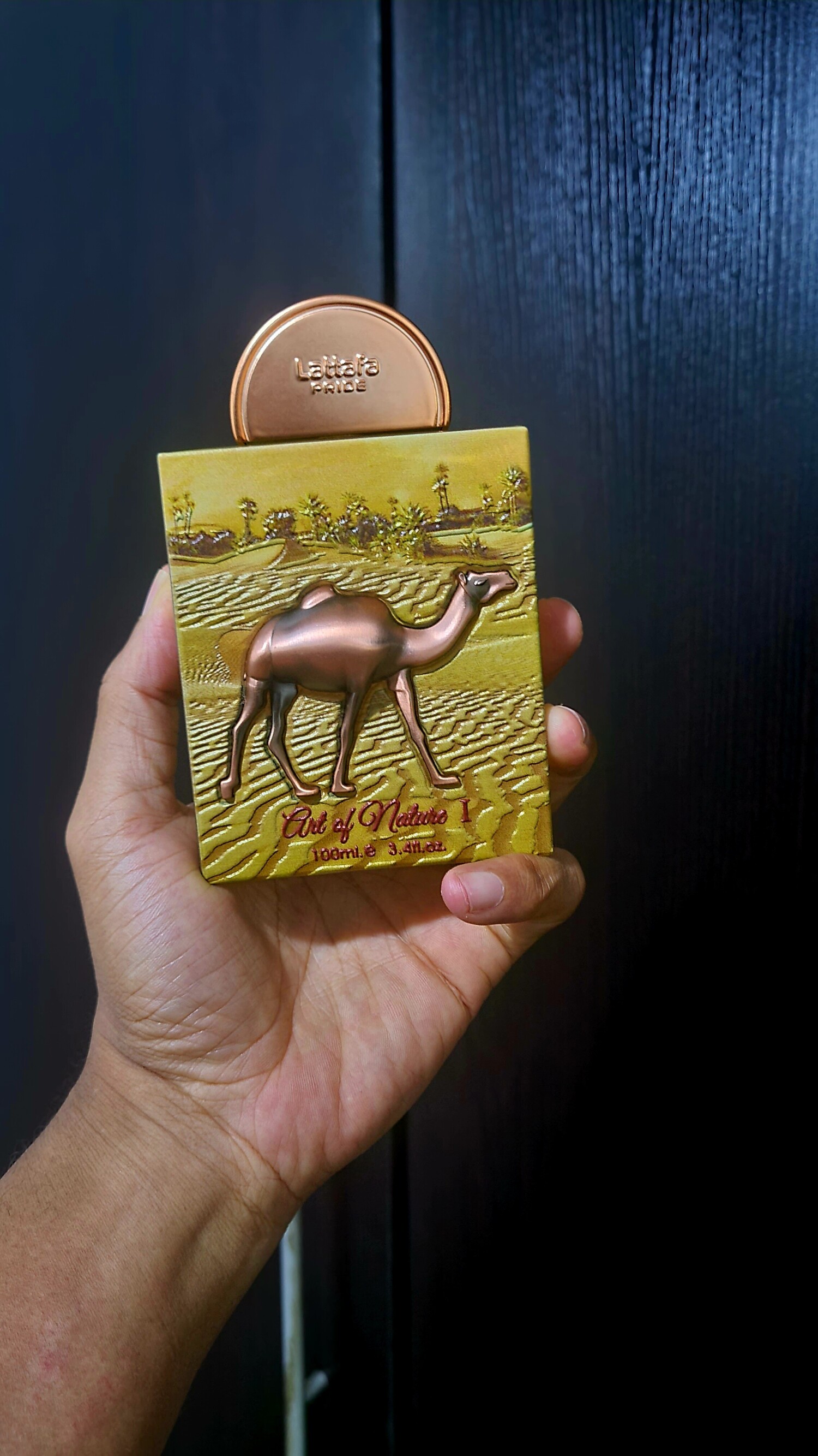 آرت آف نیچر ۱
