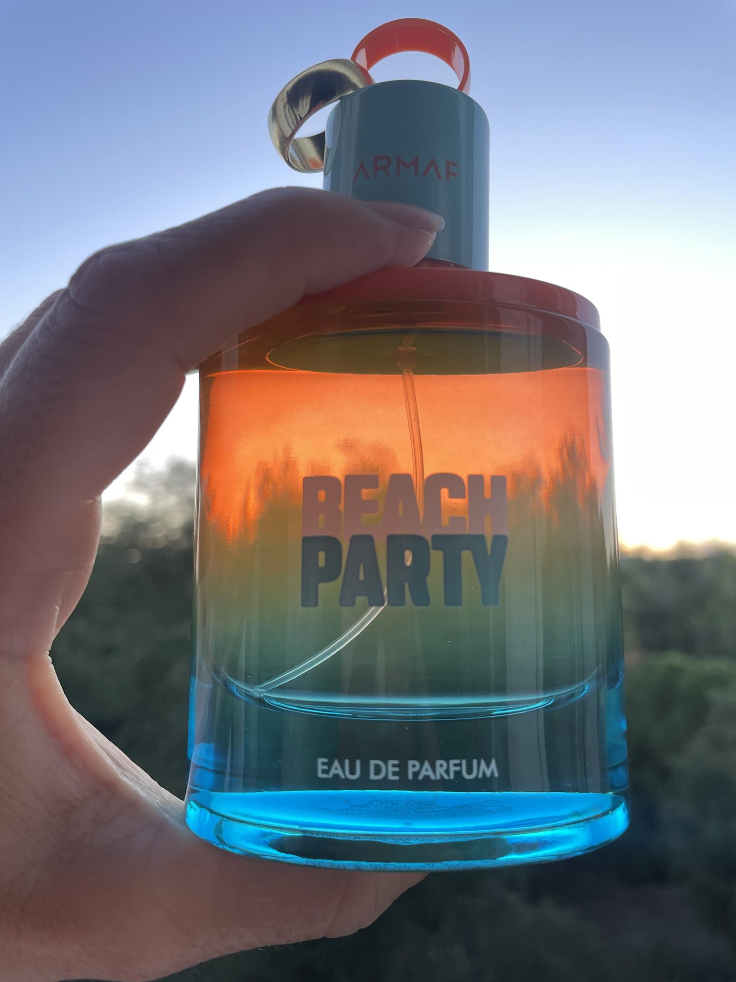 بیچ پارتی