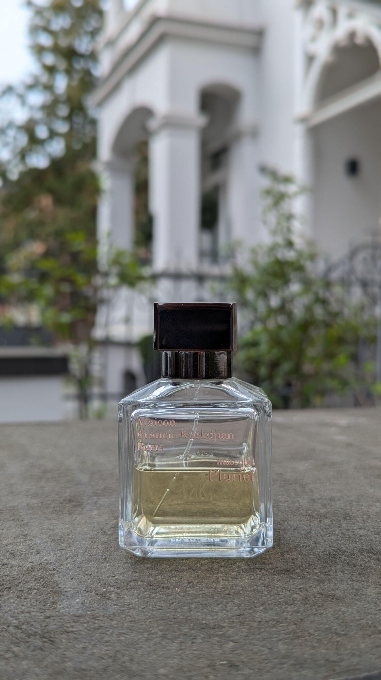 ماسکولین پلوریل — تصویر 3