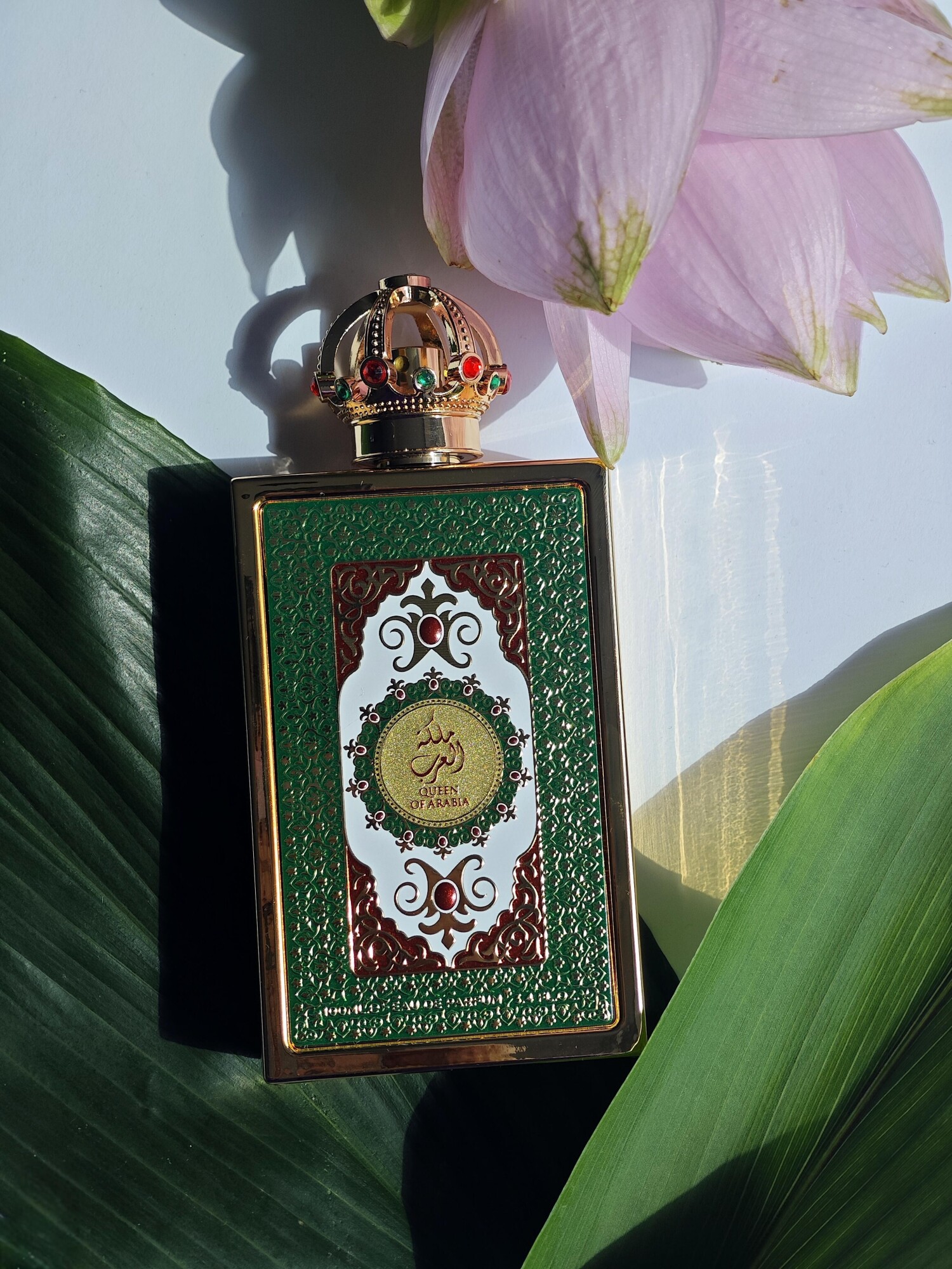 کوئین آف عربیا