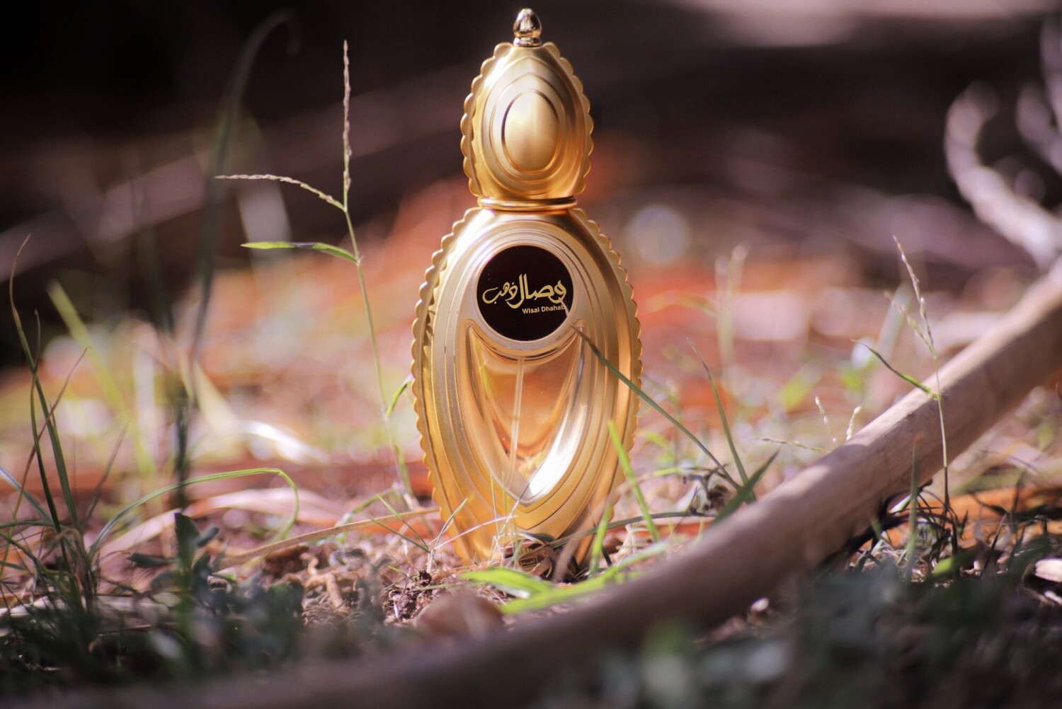 وصال ذهب — تصویر 2