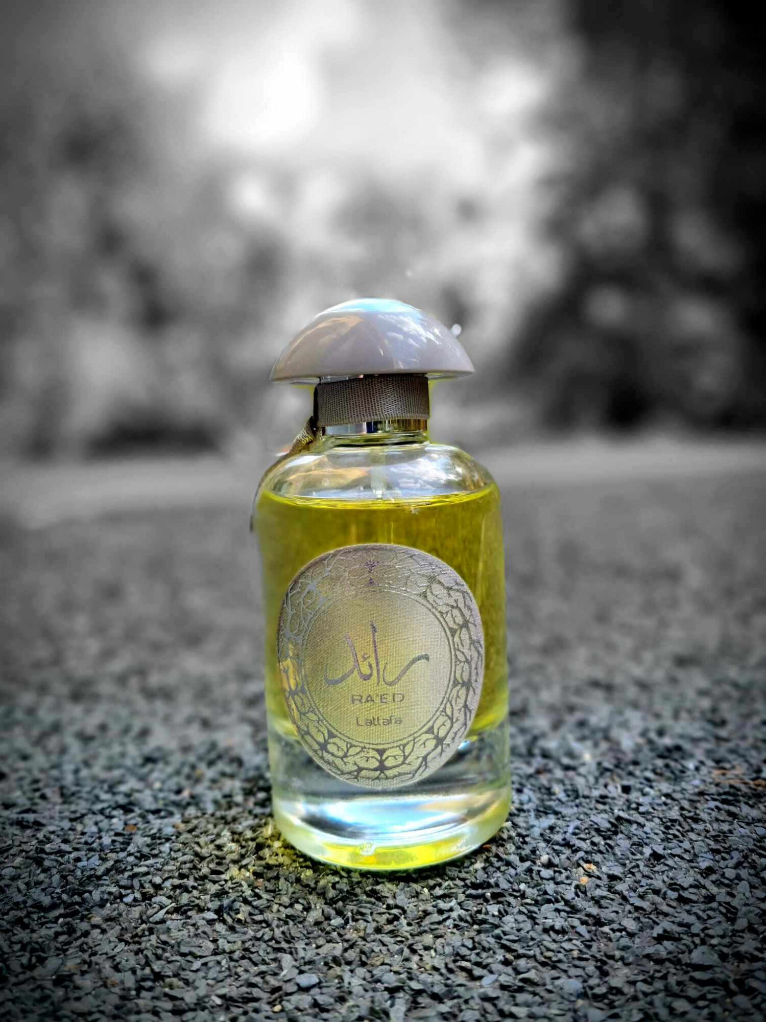رائد سیلور — تصویر 2