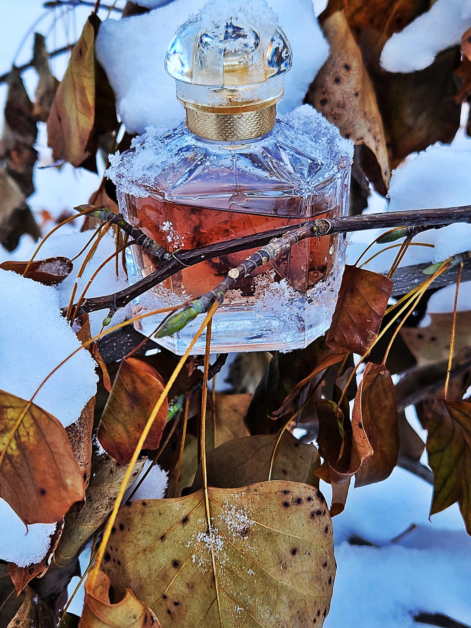 مون گرلن ادو پرفیوم اینتنس — تصویر 2