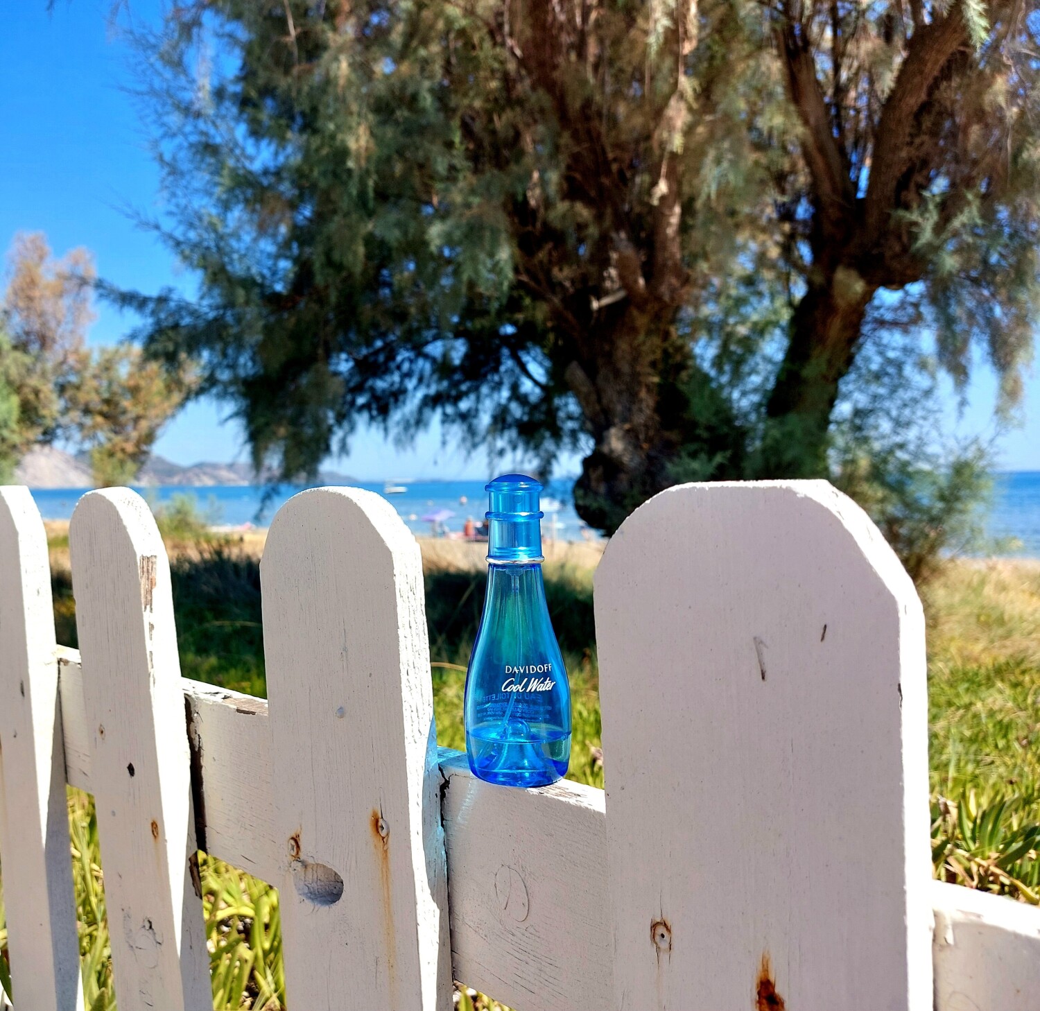کول واتر — تصویر 3