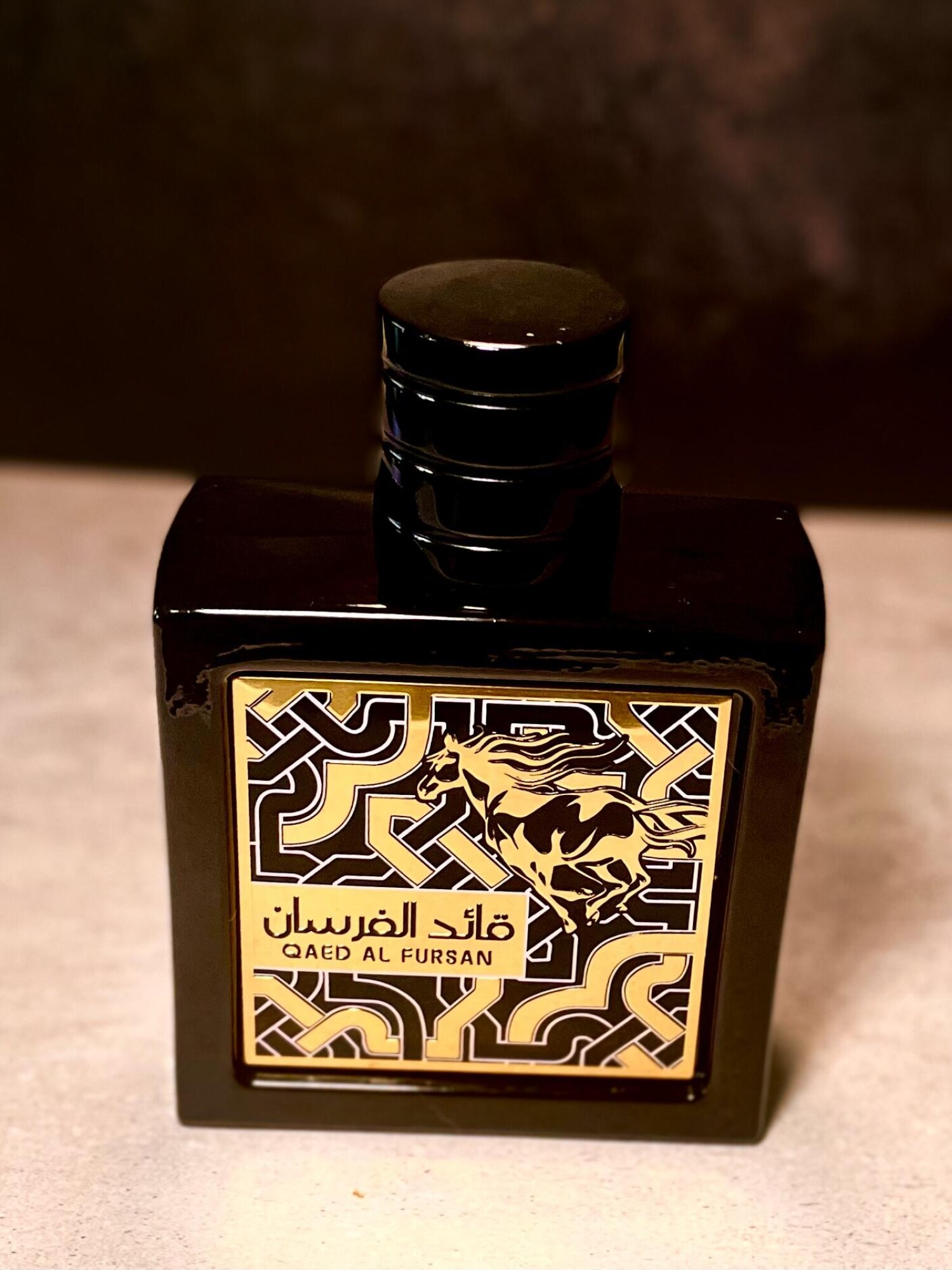 قائد الفرسان — تصویر 2