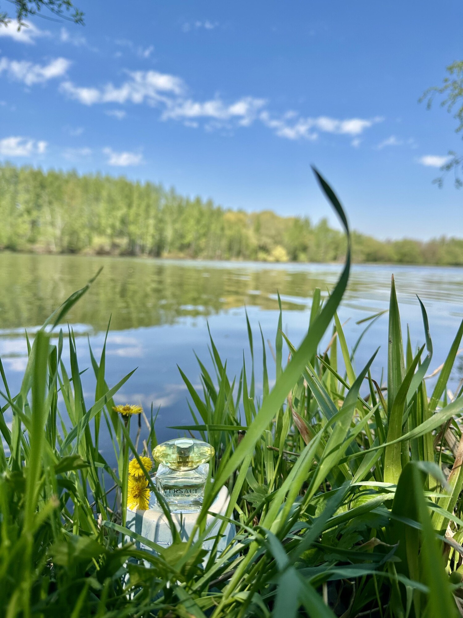 یلو دایموند — تصویر 3