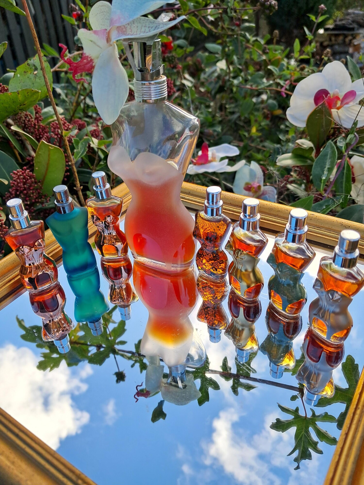 کلاسیک
