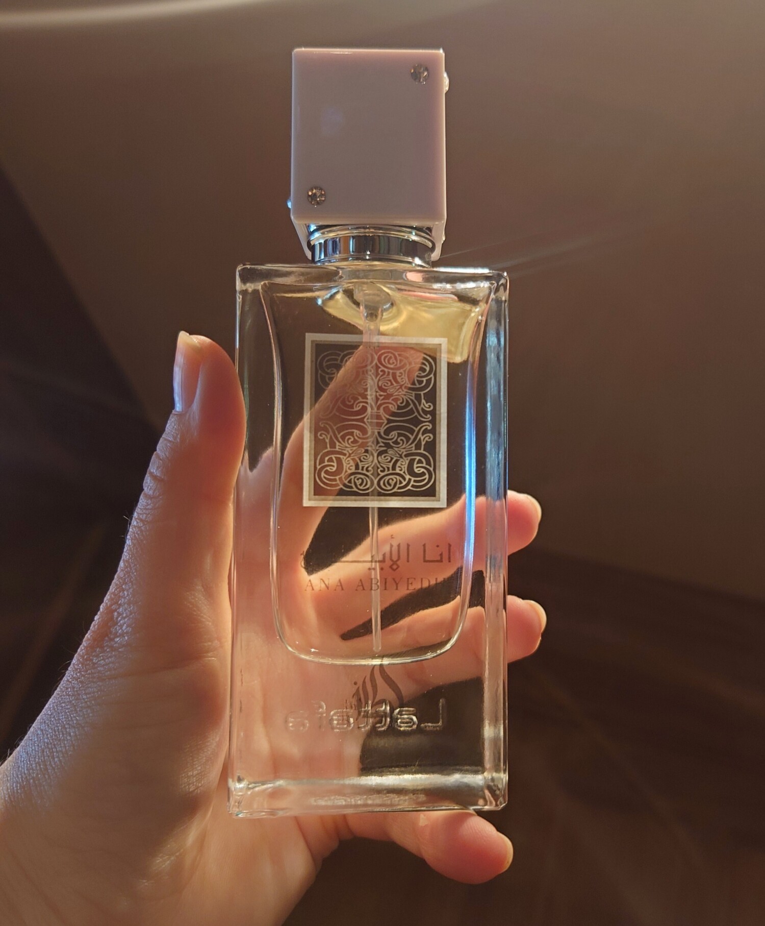 آنا ابیض — تصویر 2