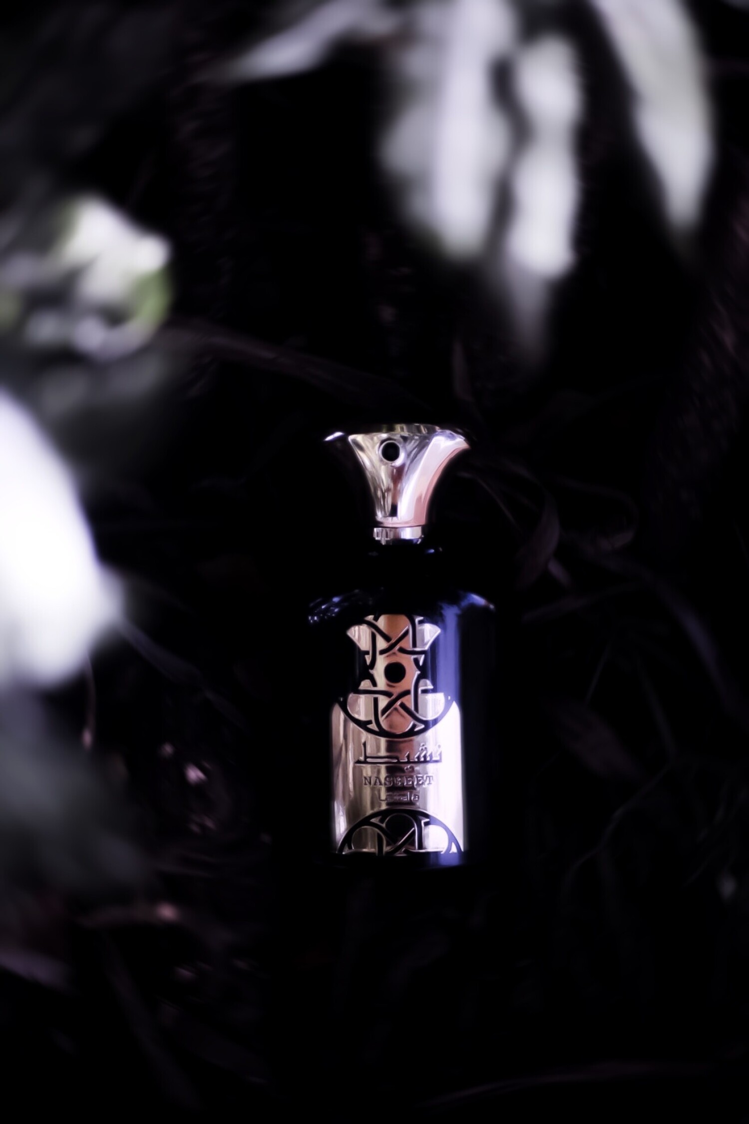 نشیت — تصویر 3