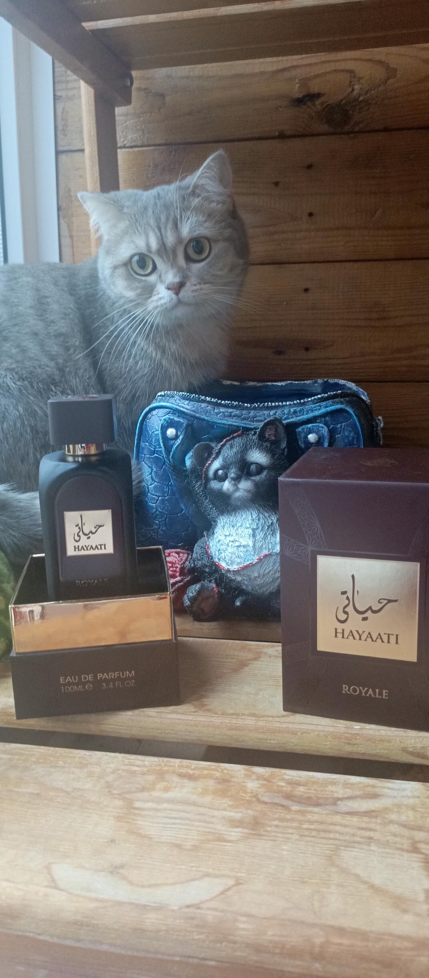 حیاتی رویال