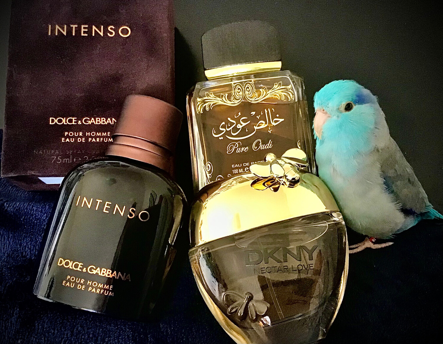 خالص عودی (پیور عودی) — تصویر 2