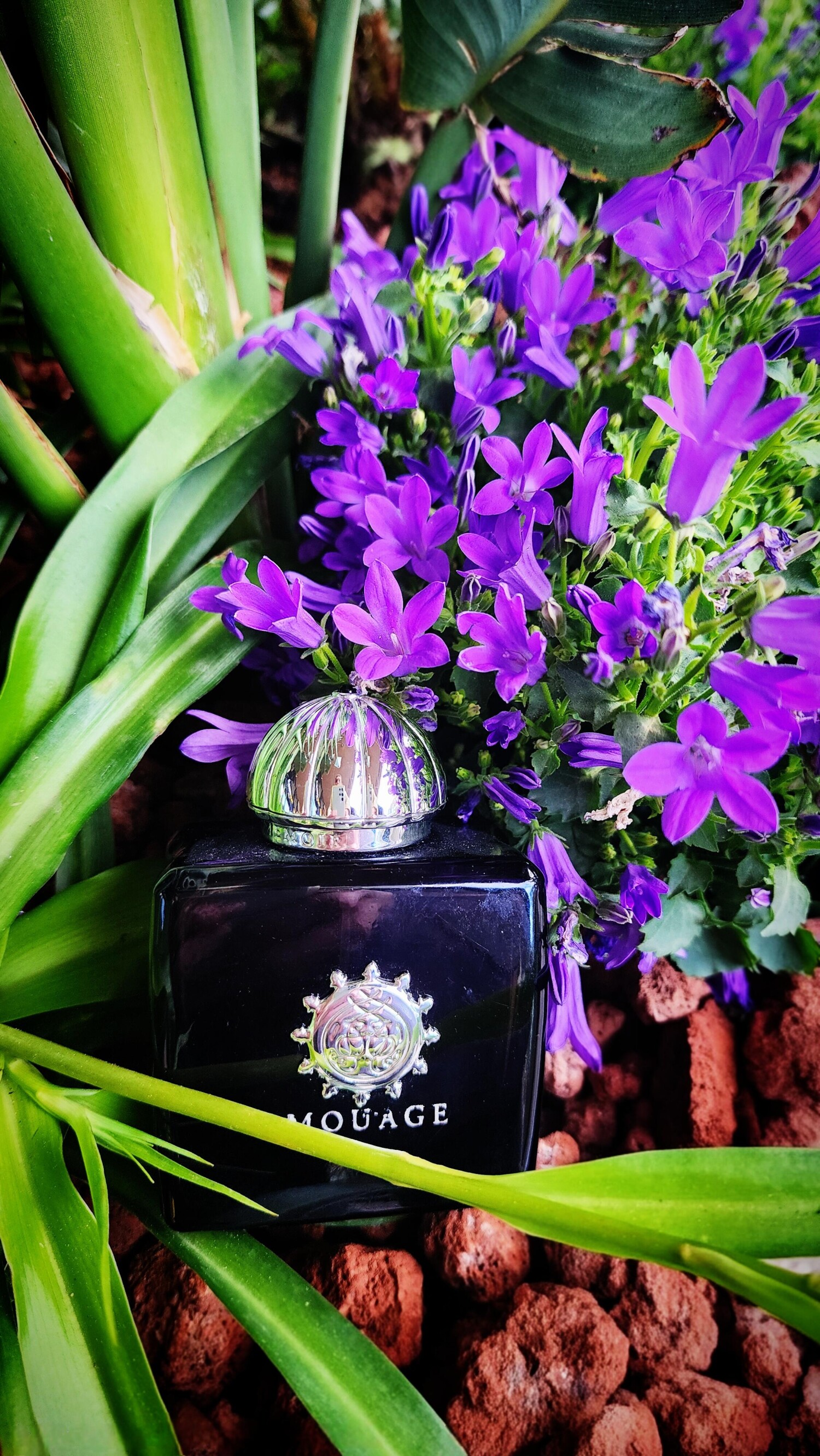 مموار وومن