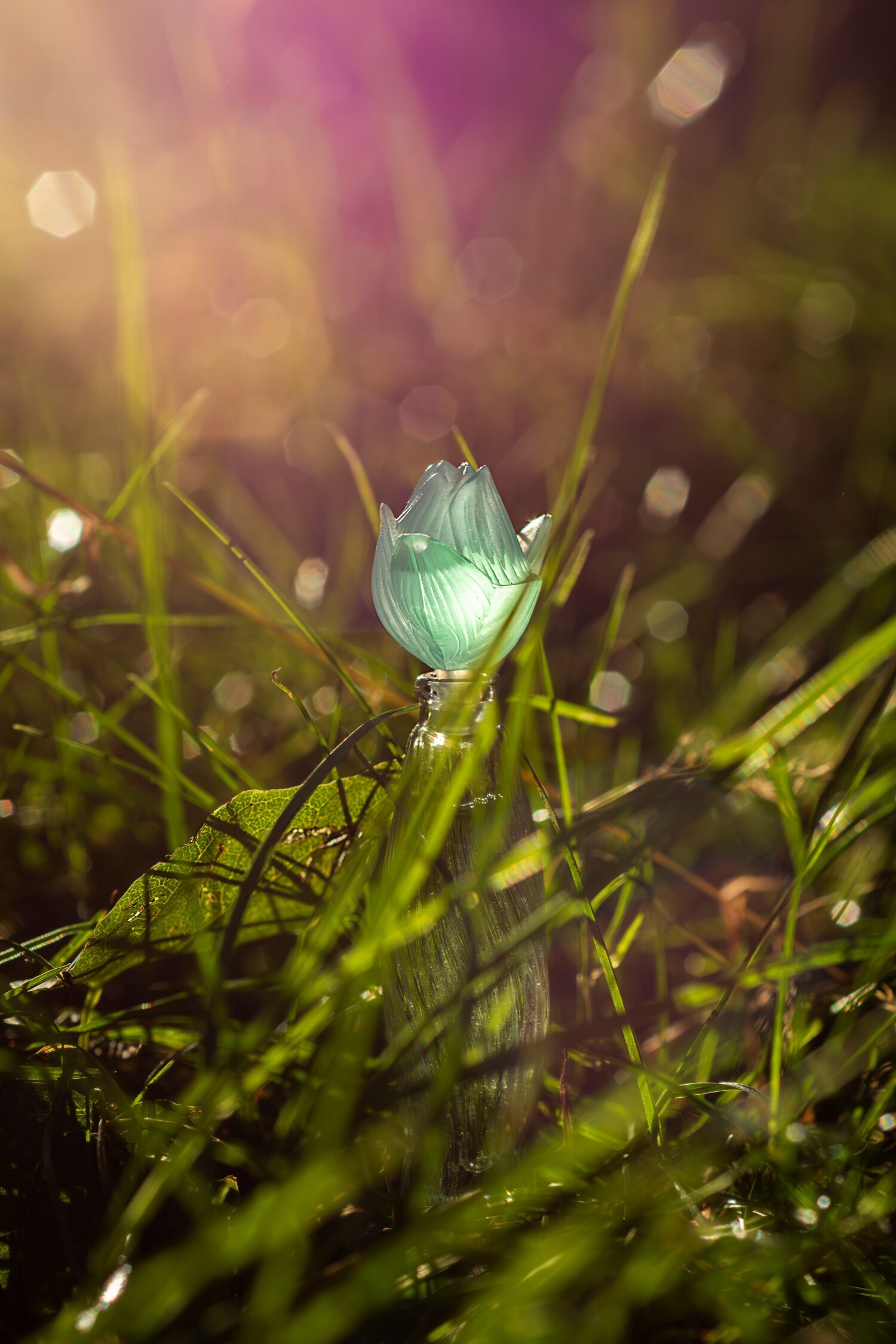 کلر د نیلانگ — تصویر 2