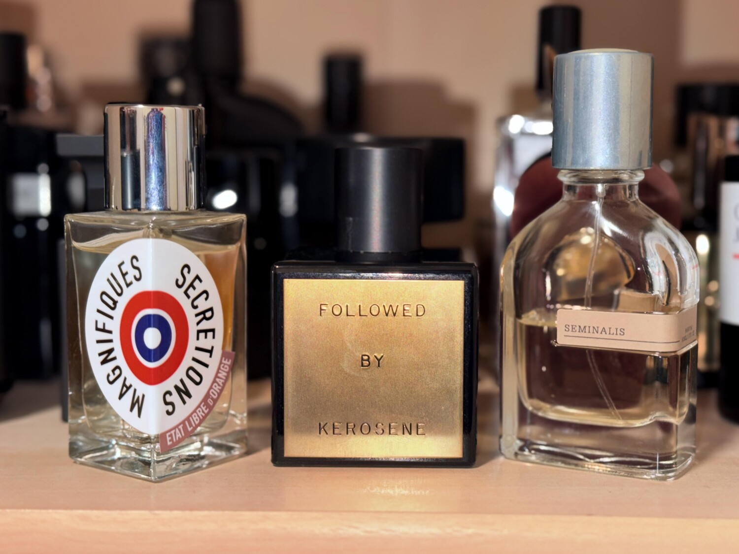 سمینالیس اورتو پاریسی — تصویر 2