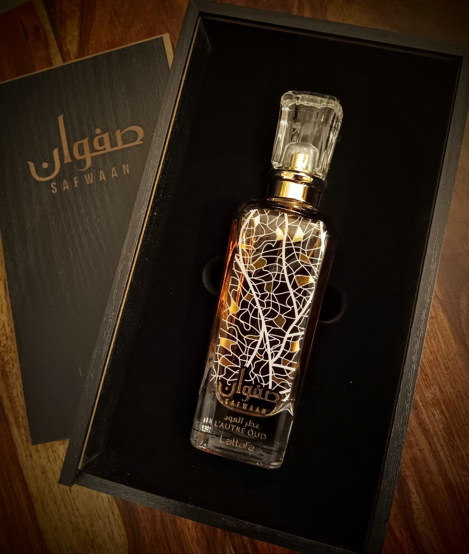 صفوان لوتر عود