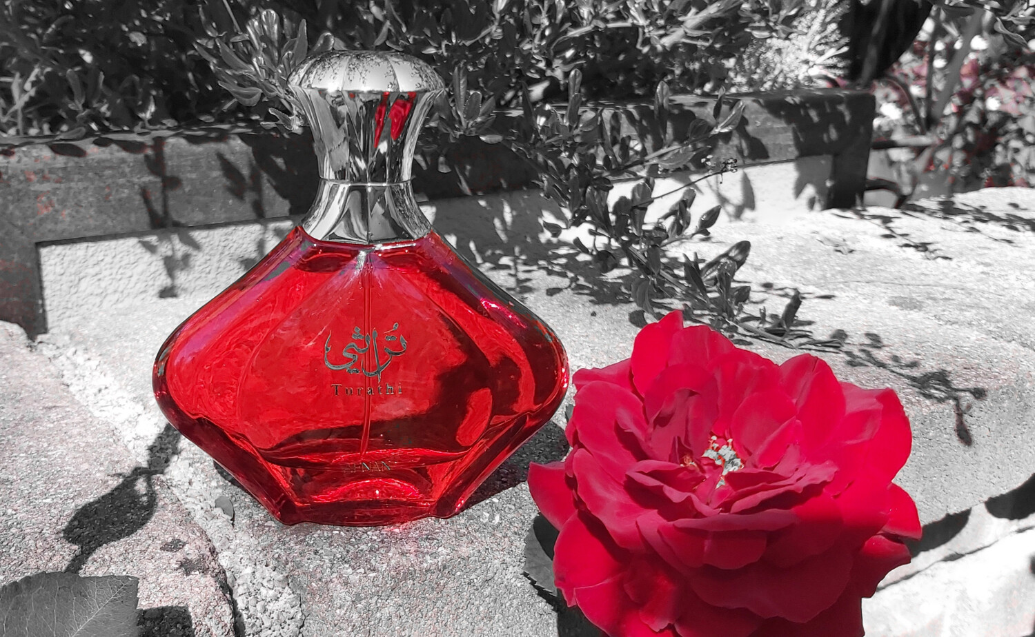 تراثی رد — تصویر 2