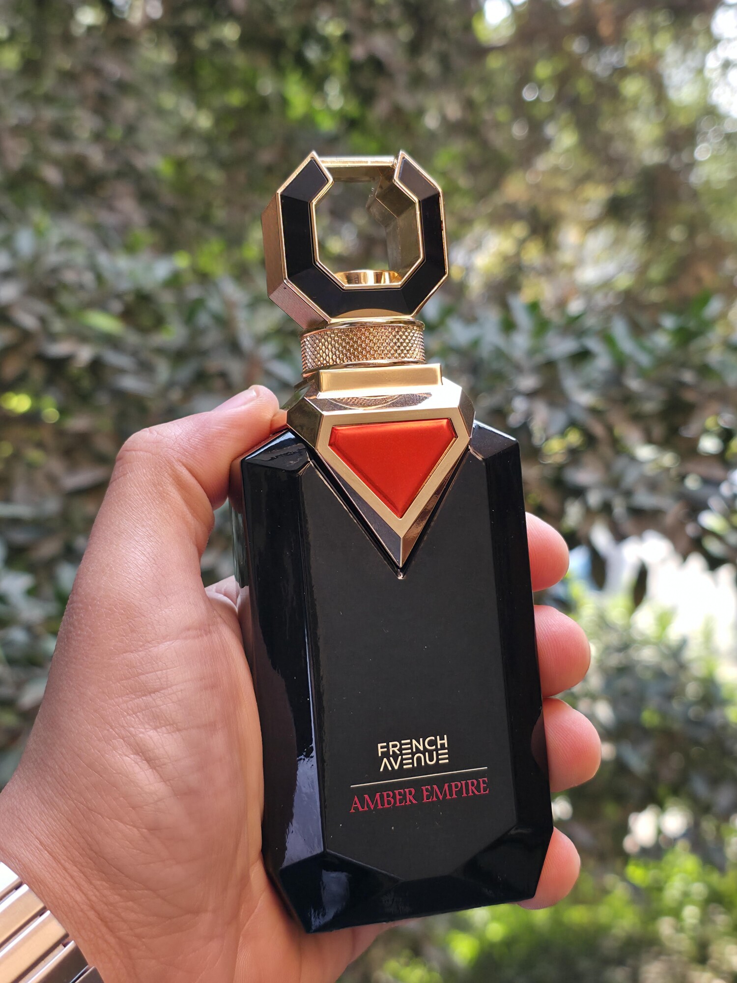 امبر امپایر — تصویر 2