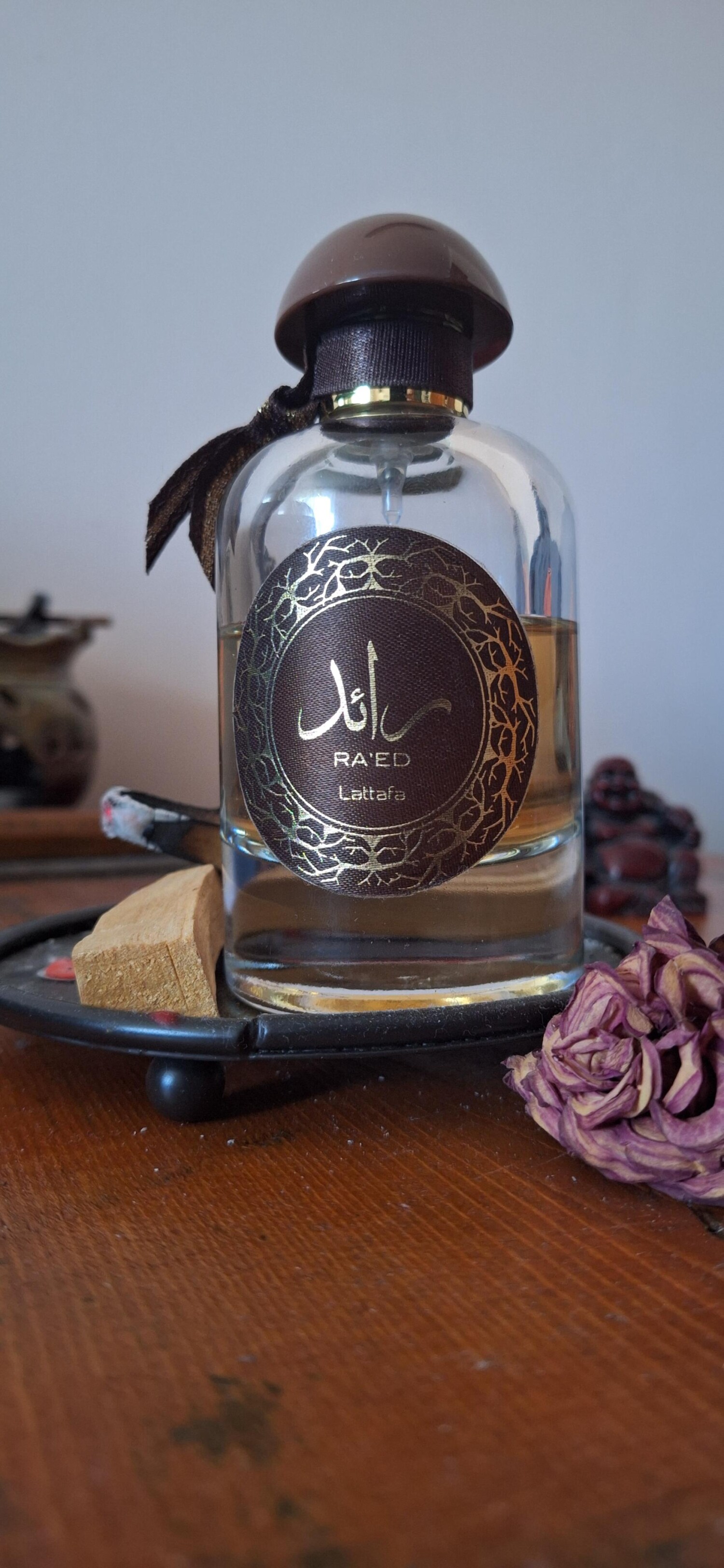 رائد عود — تصویر 2