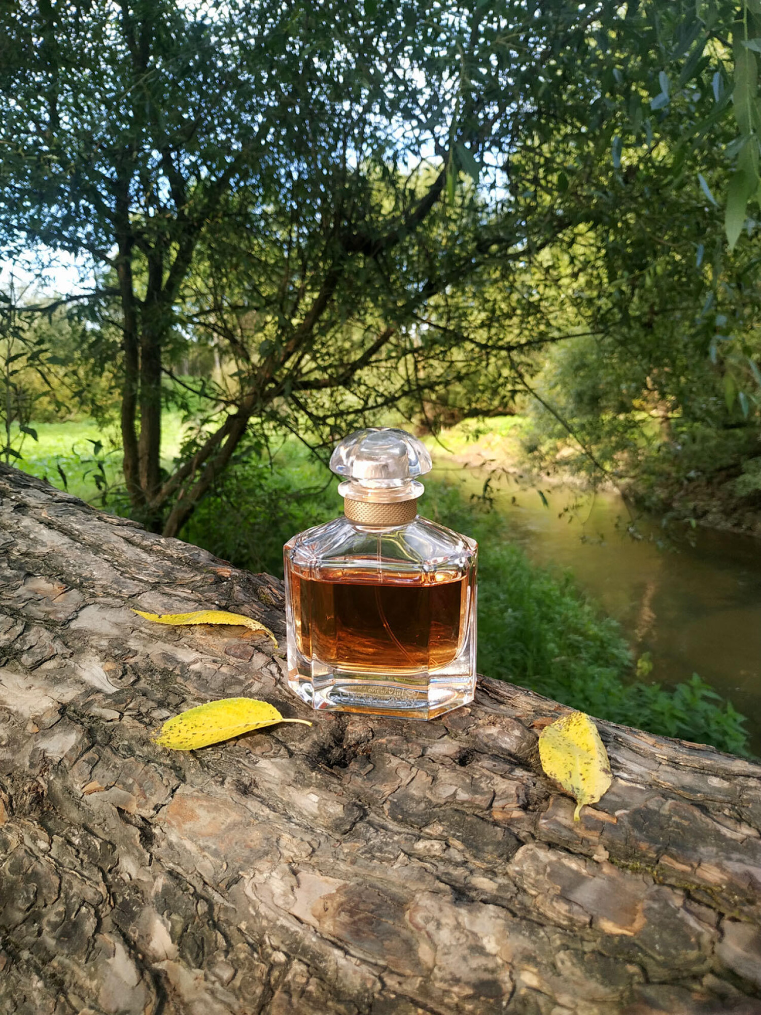 مون گرلن — تصویر 2