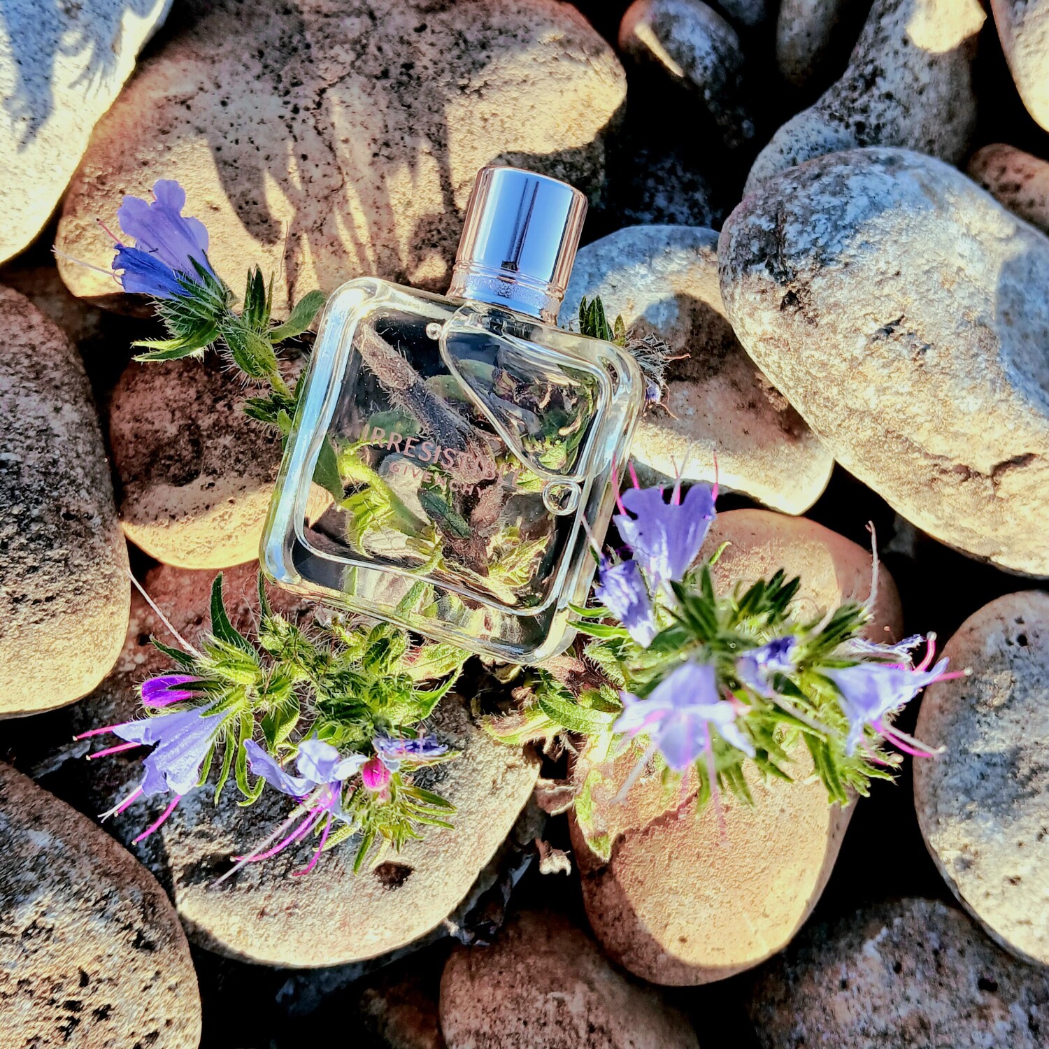 ایریسیستیبل جیونچی
