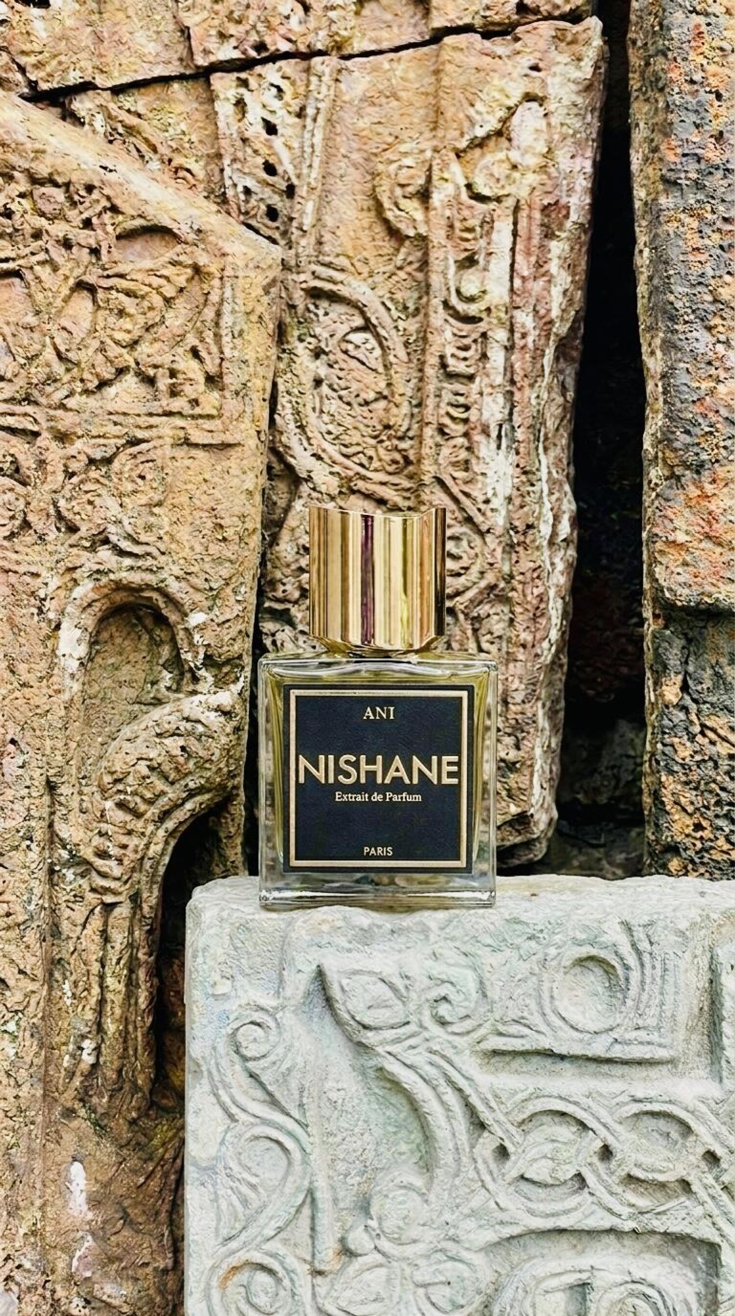 آنی ایکس نیشانه