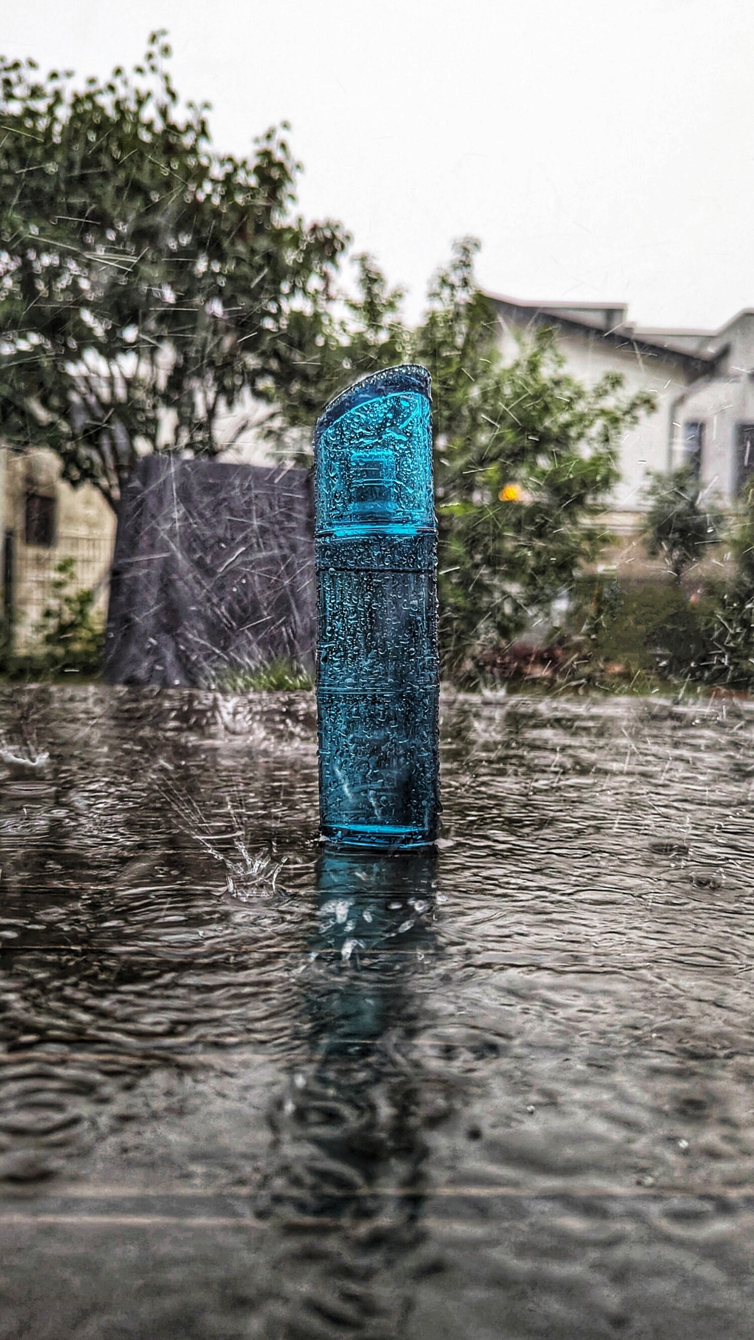 کنزو هوم مارین — تصویر 2