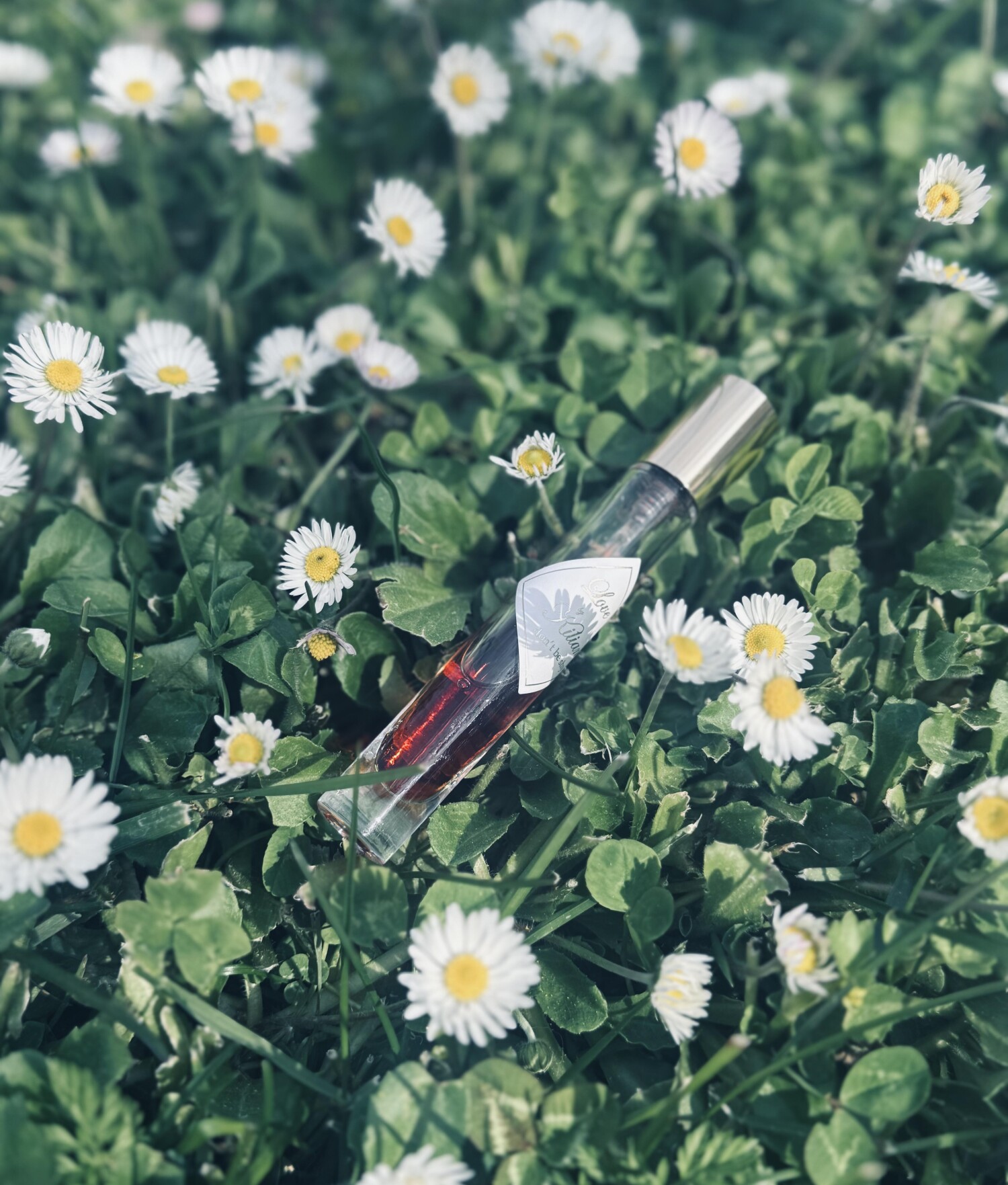 لاو دونت بی شای — تصویر 3