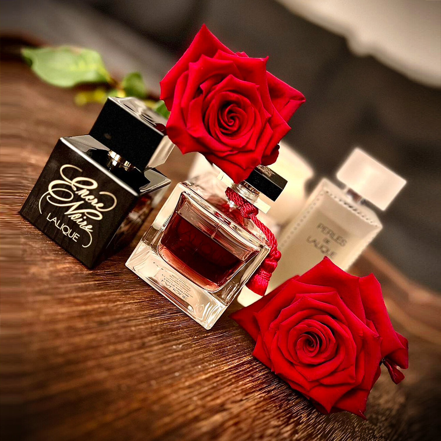 انکر نوآر پور ال — تصویر 2