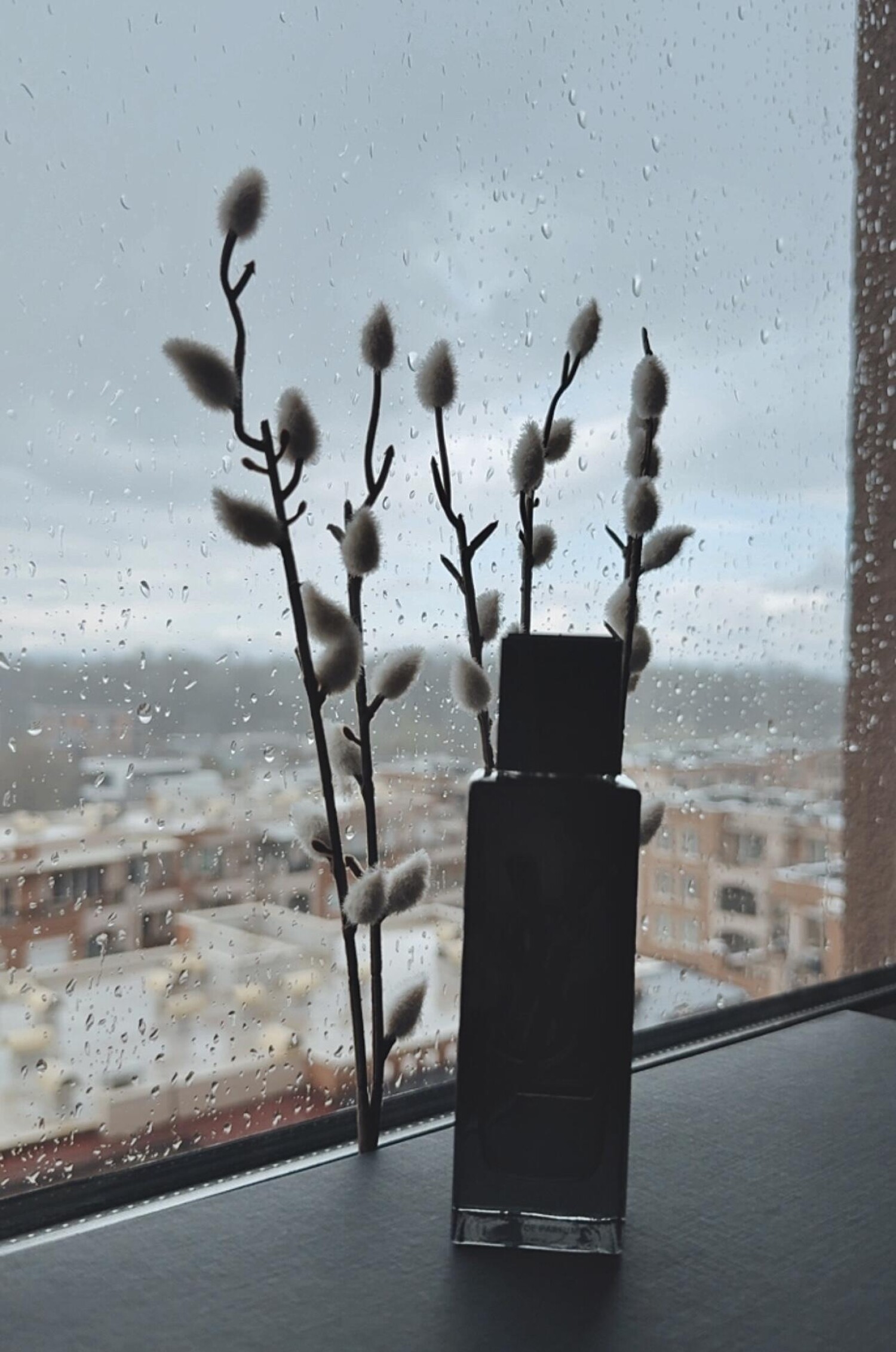 مای سلف ادو پرفیوم