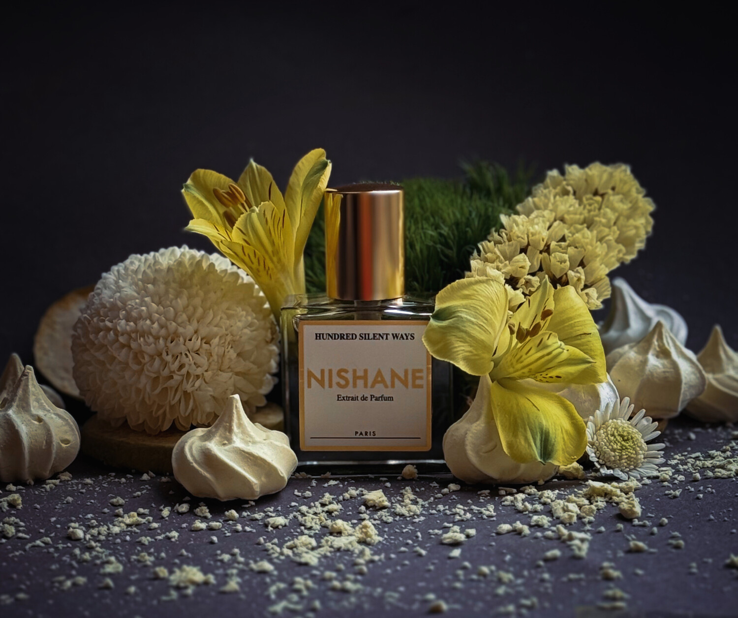هاندرد سایلنت ویز — تصویر 3