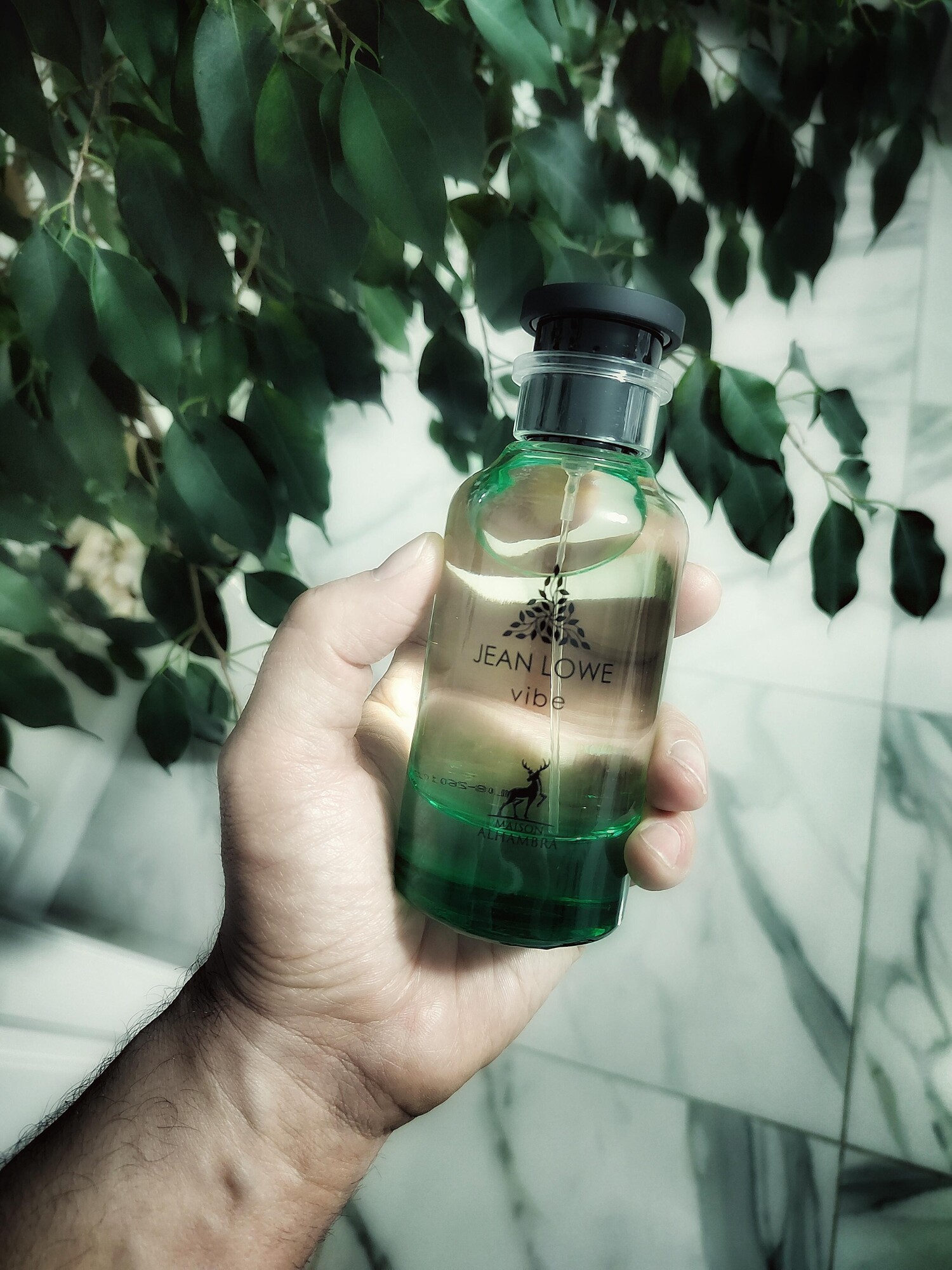 ژان لووه وایب — تصویر 2