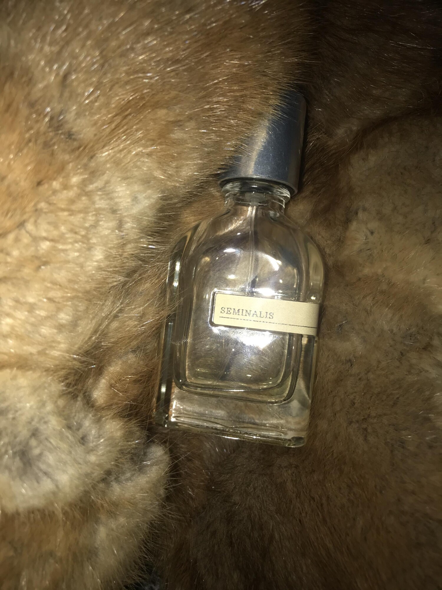 سمینالیس اورتو پاریسی — تصویر 3