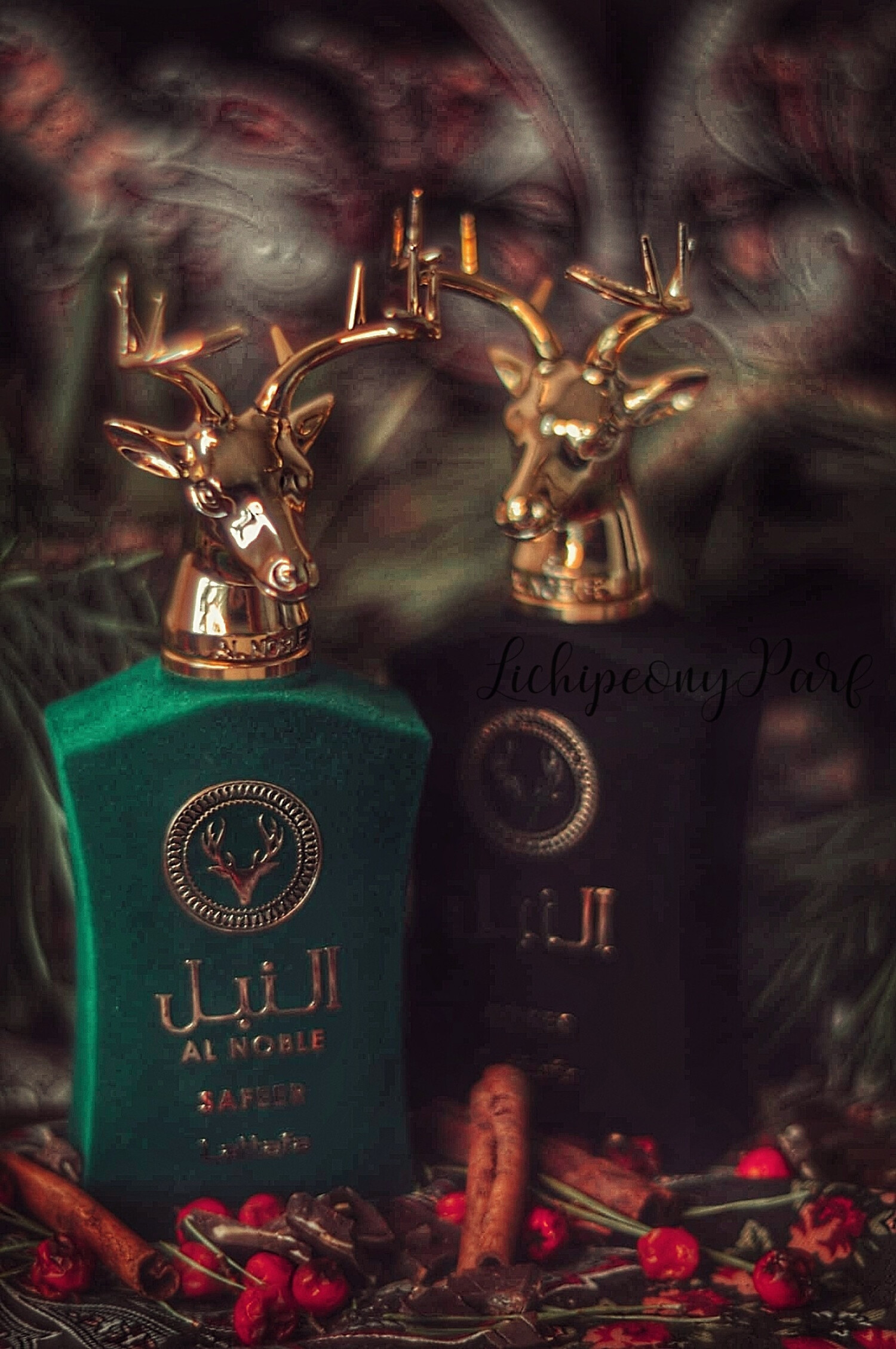 امیر — تصویر 3