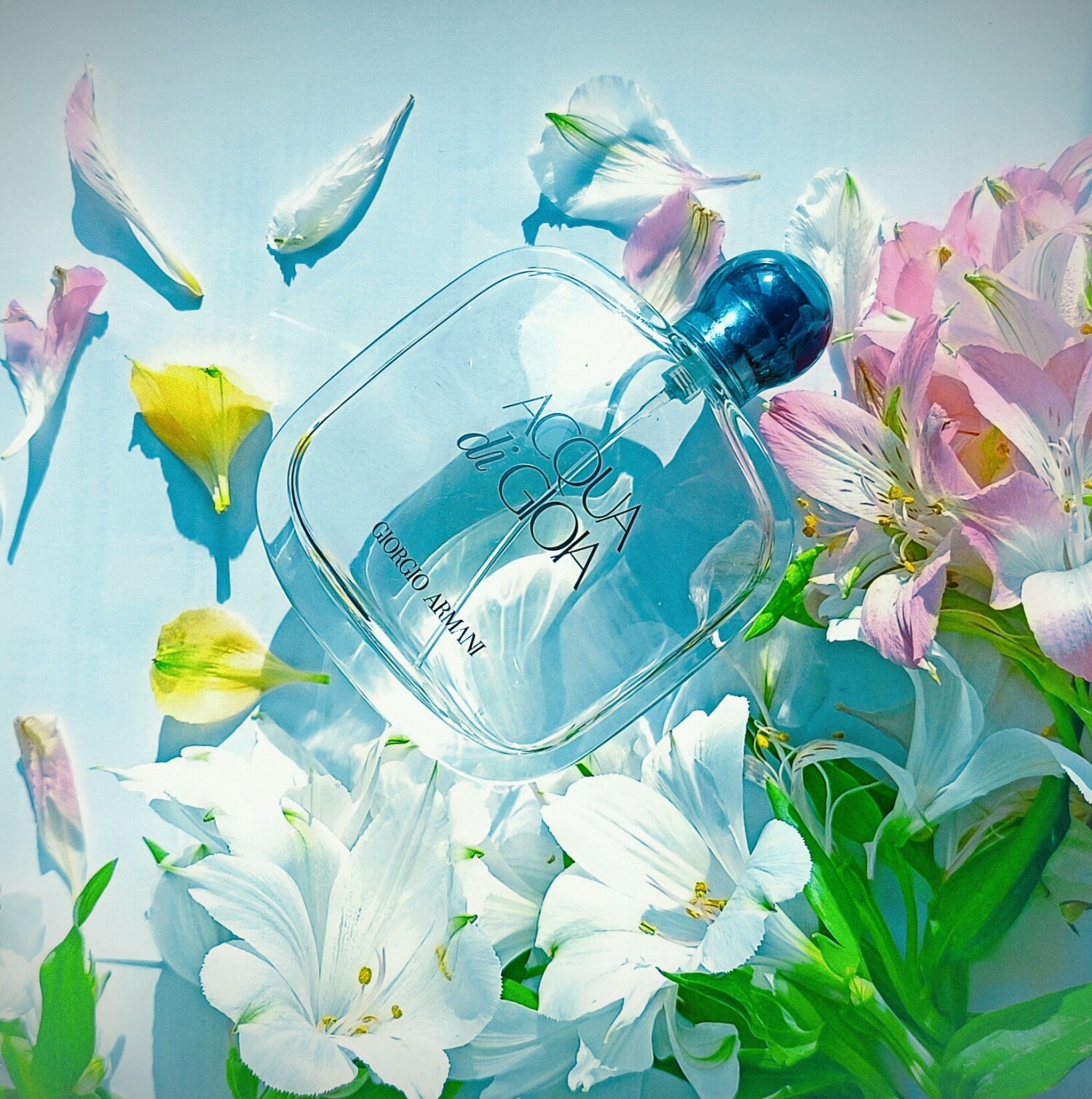 آکوا دی جویا — تصویر 3