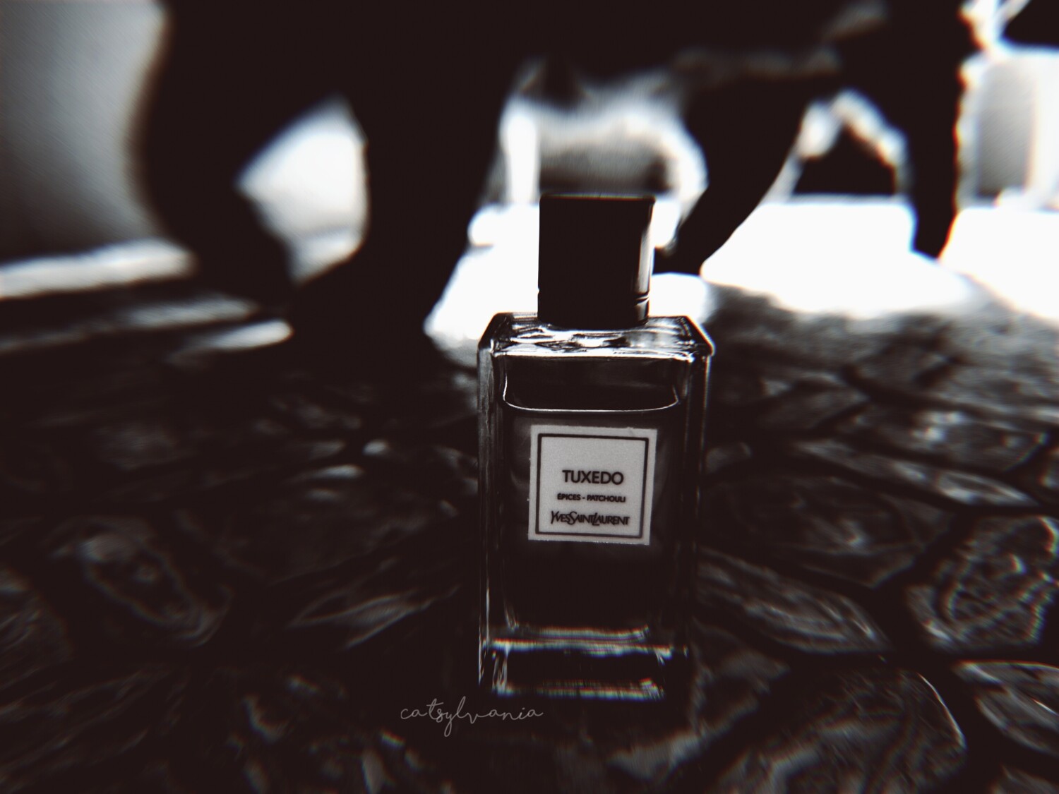 تاکسیدو — تصویر 2